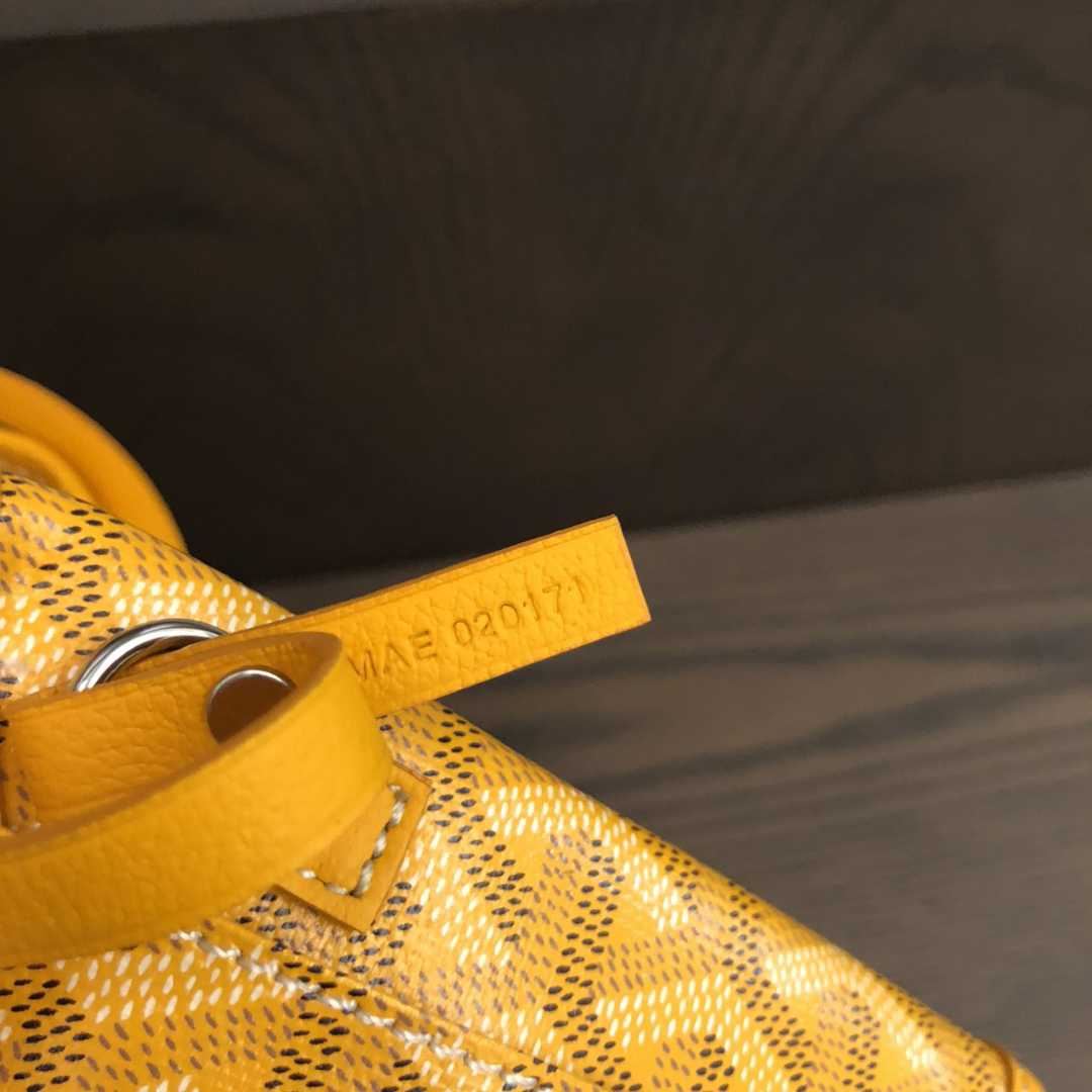 Goyard Anjou Mini Bag  - DesignerGu