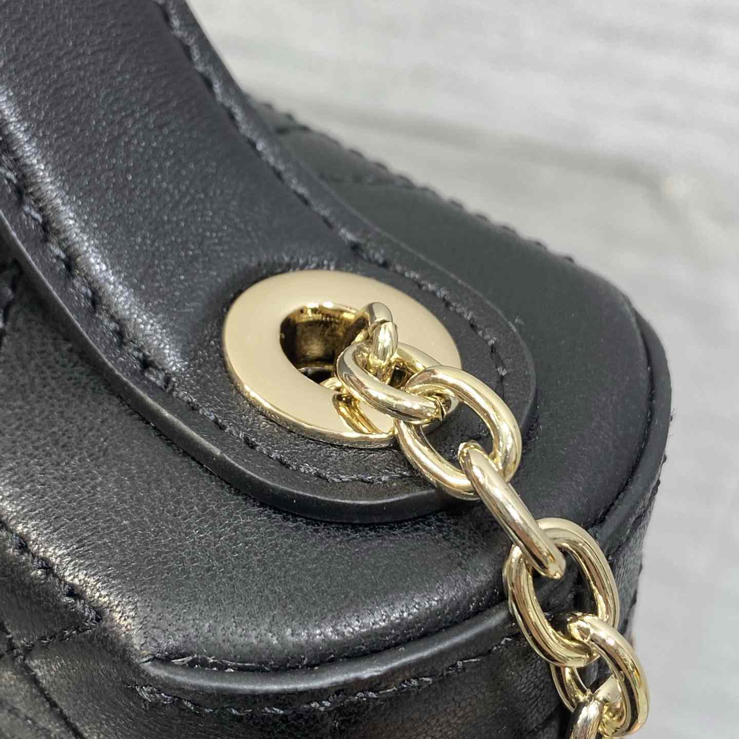 Dior Trianon Soft Vanity Bag - DesignerGu