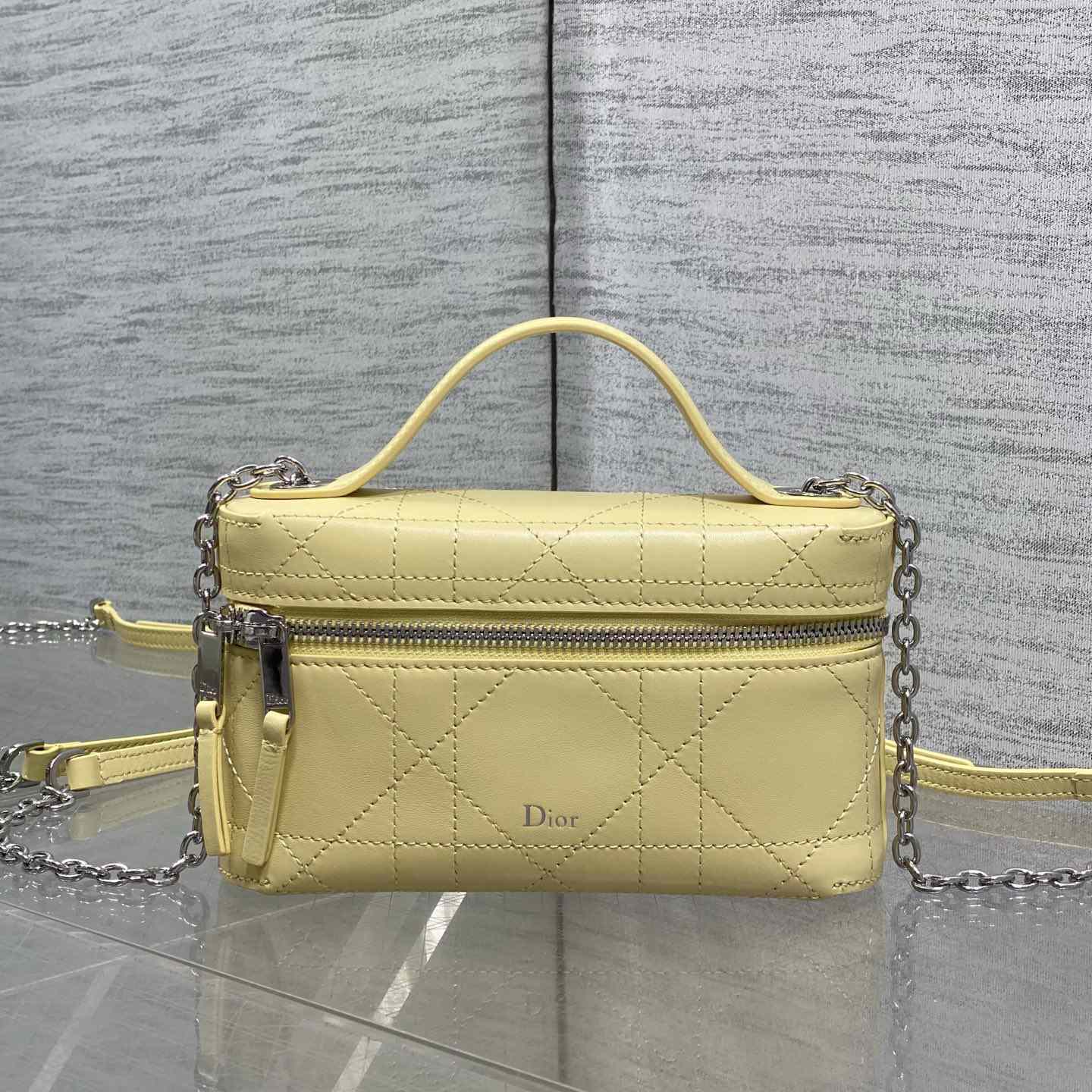 Dior Trianon Soft Vanity Bag - DesignerGu