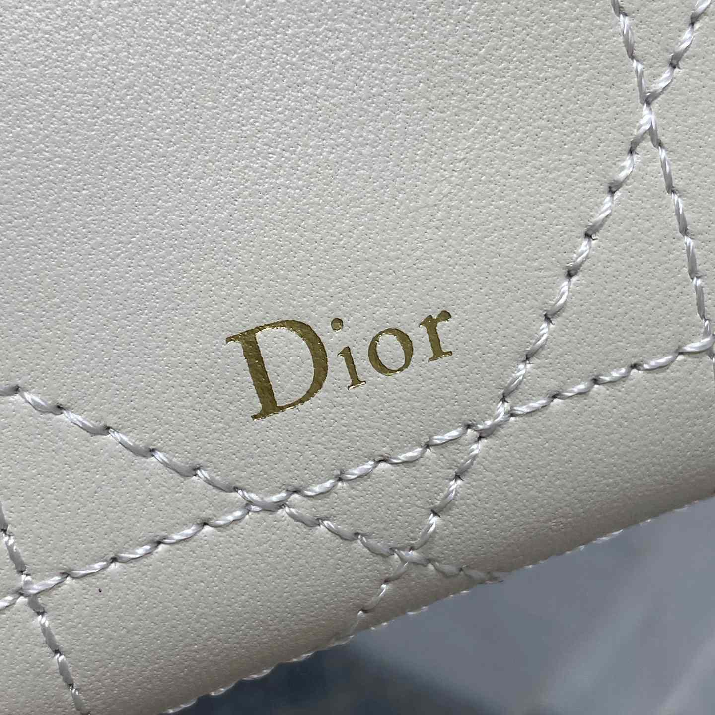 Dior Trianon Soft Vanity Bag - DesignerGu