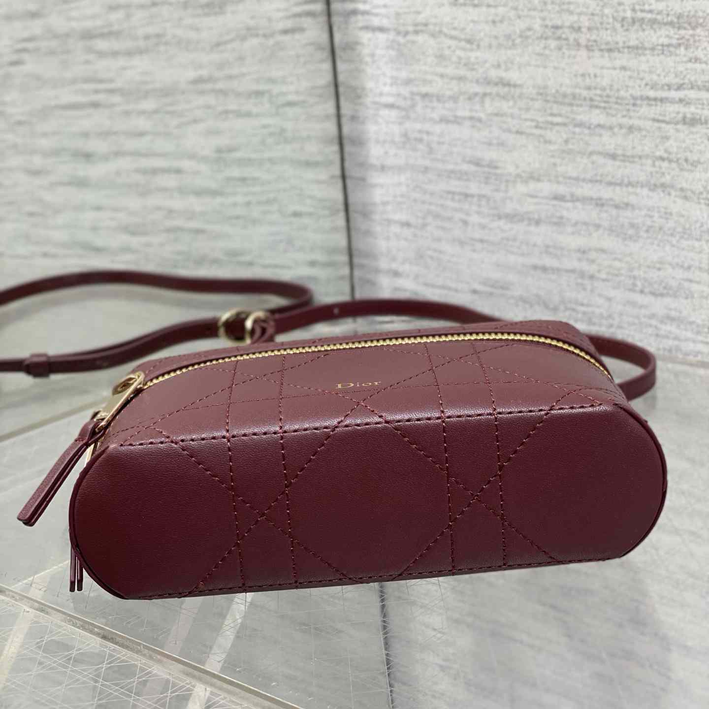 Dior Trianon Soft Vanity Bag - DesignerGu