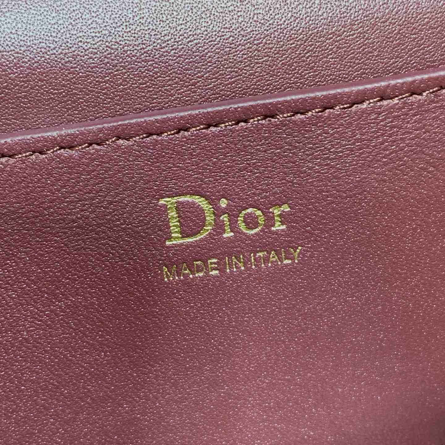 Dior Trianon Soft Vanity Bag - DesignerGu