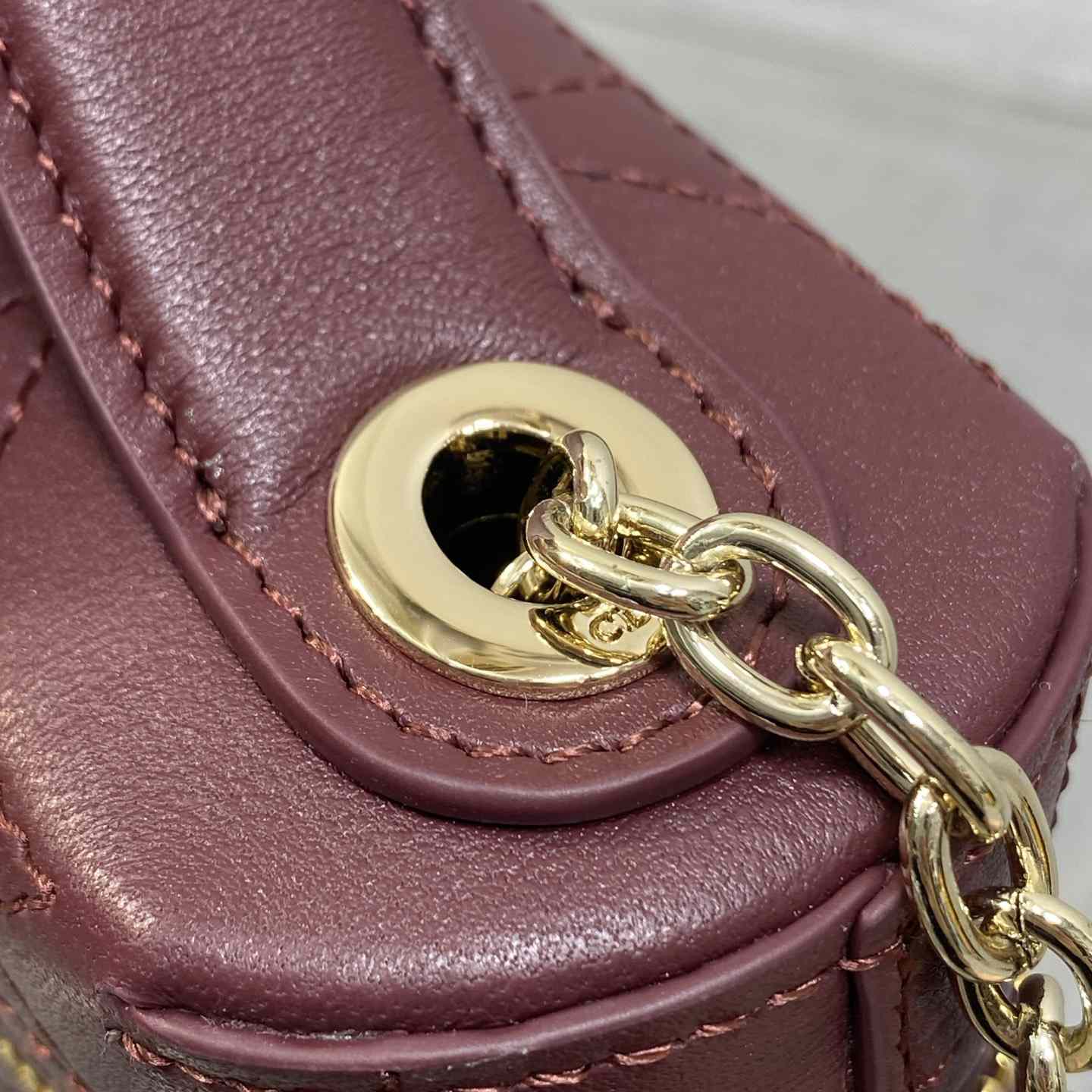 Dior Trianon Soft Vanity Bag - DesignerGu
