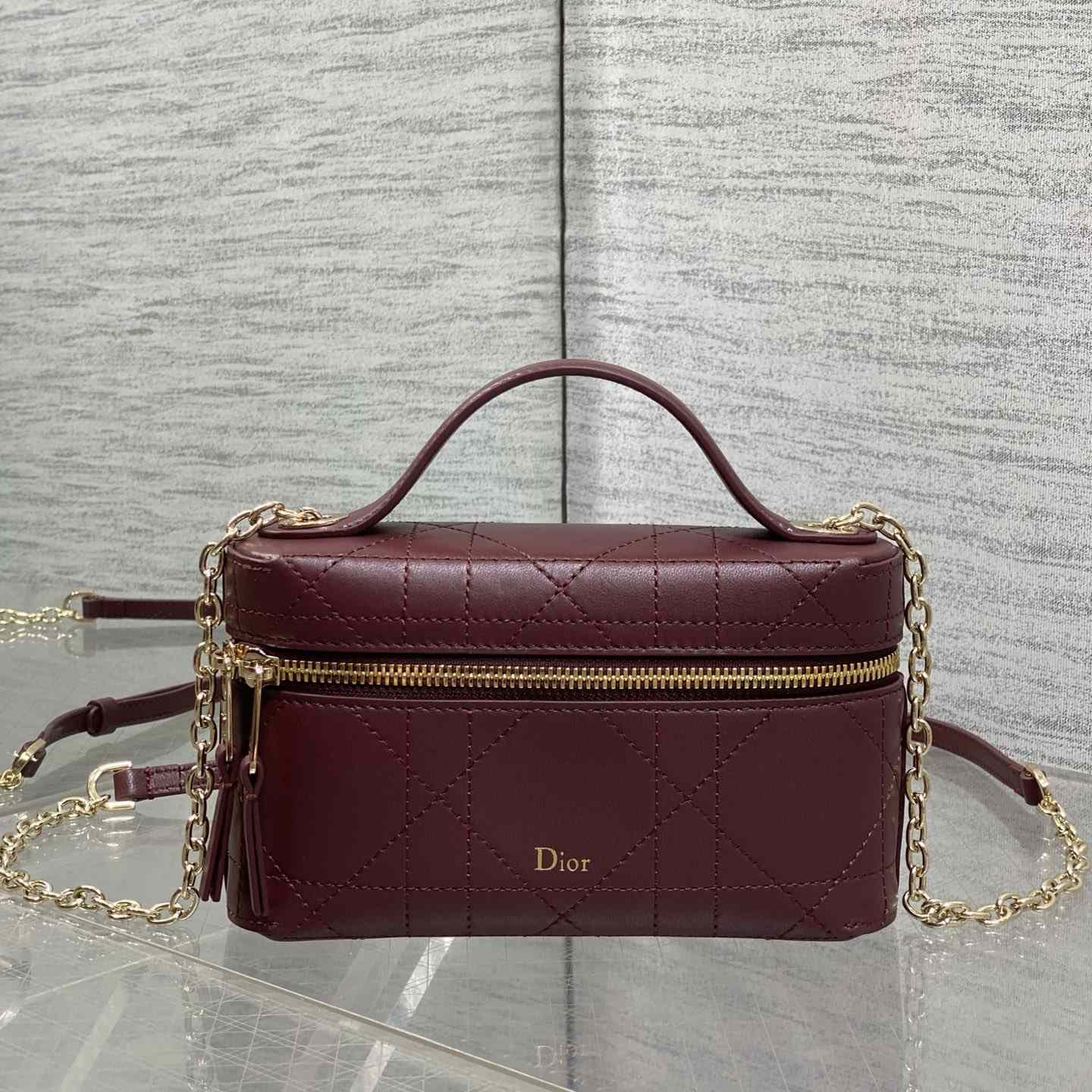 Dior Trianon Soft Vanity Bag - DesignerGu