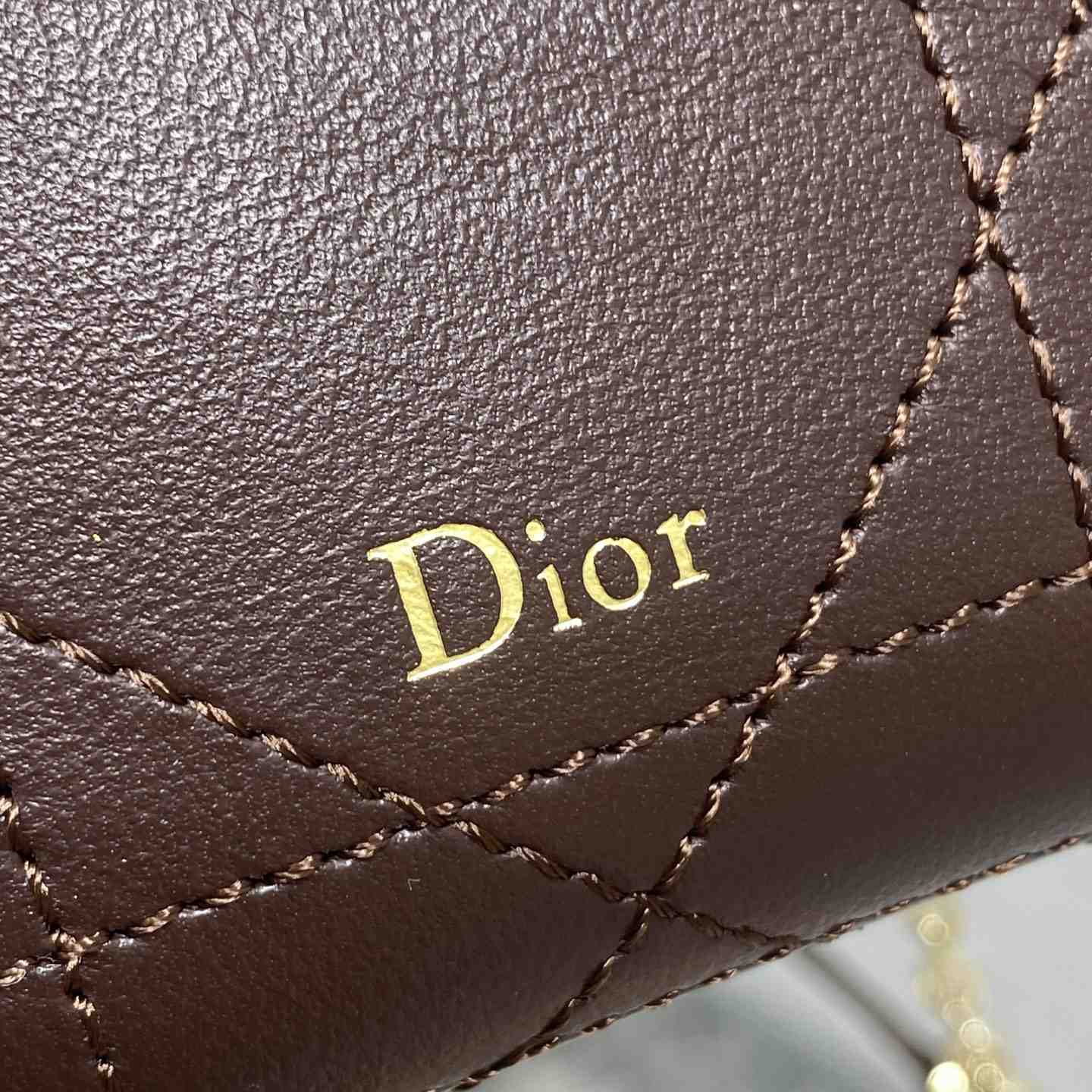 Dior Trianon Soft Vanity Bag - DesignerGu