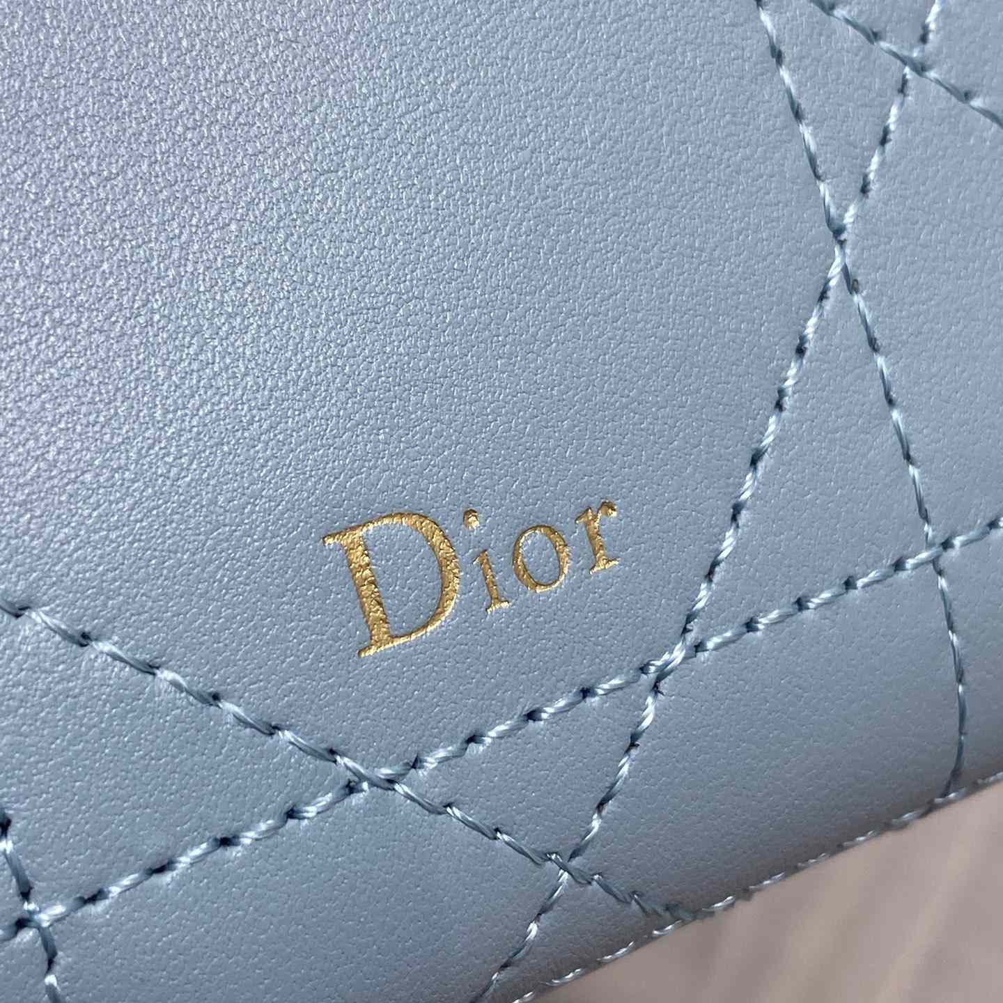 Dior Trianon Soft Vanity Bag - DesignerGu