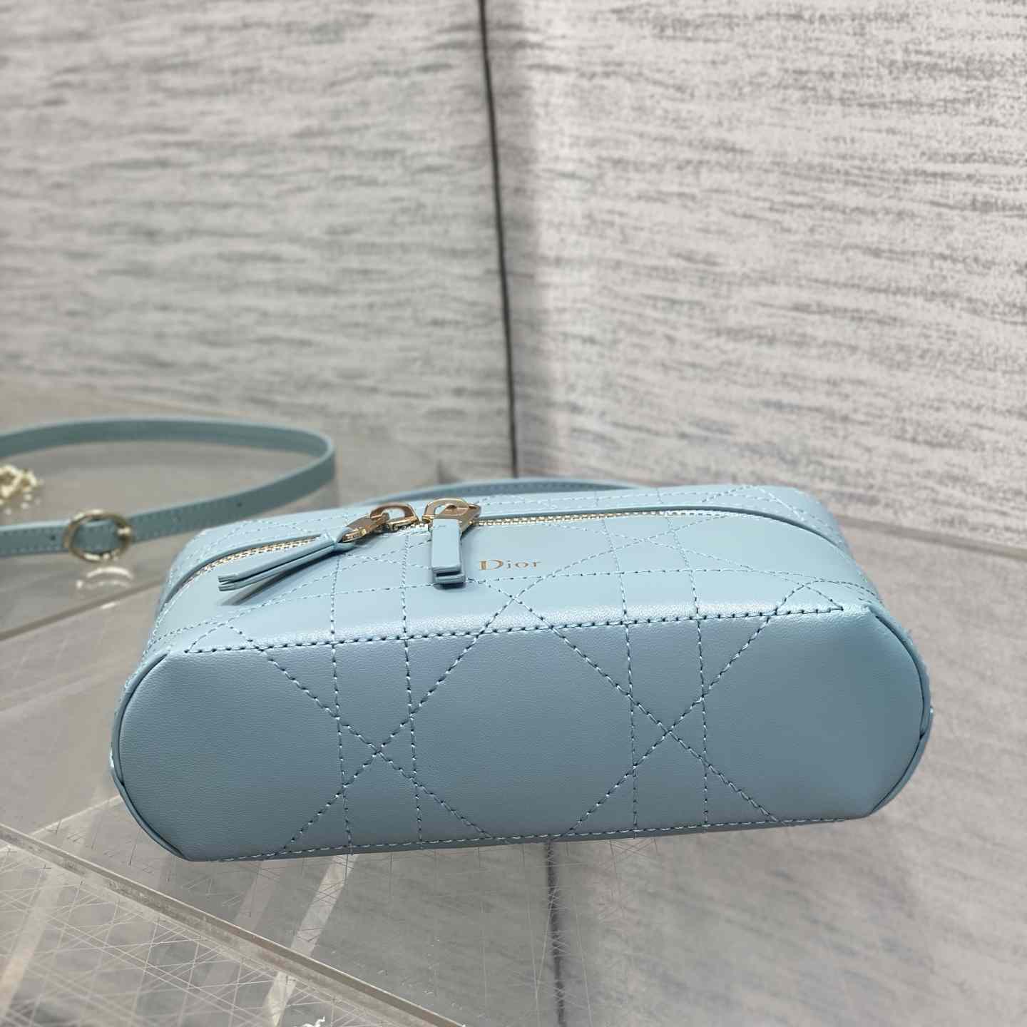 Dior Trianon Soft Vanity Bag - DesignerGu