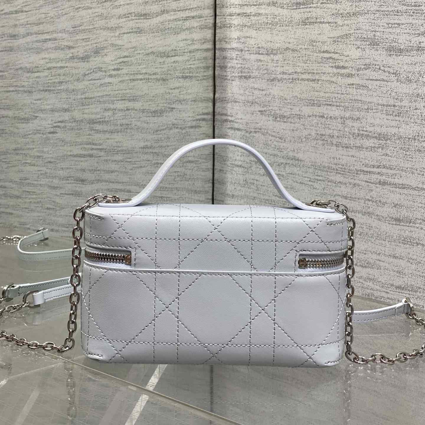 Dior Trianon Soft Vanity Bag - DesignerGu