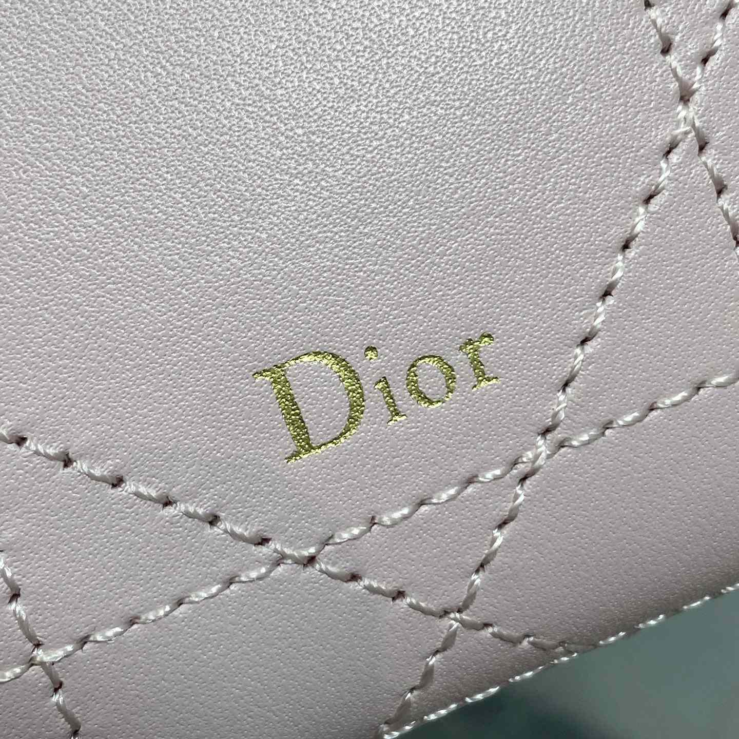 Dior Trianon Soft Vanity Bag - DesignerGu