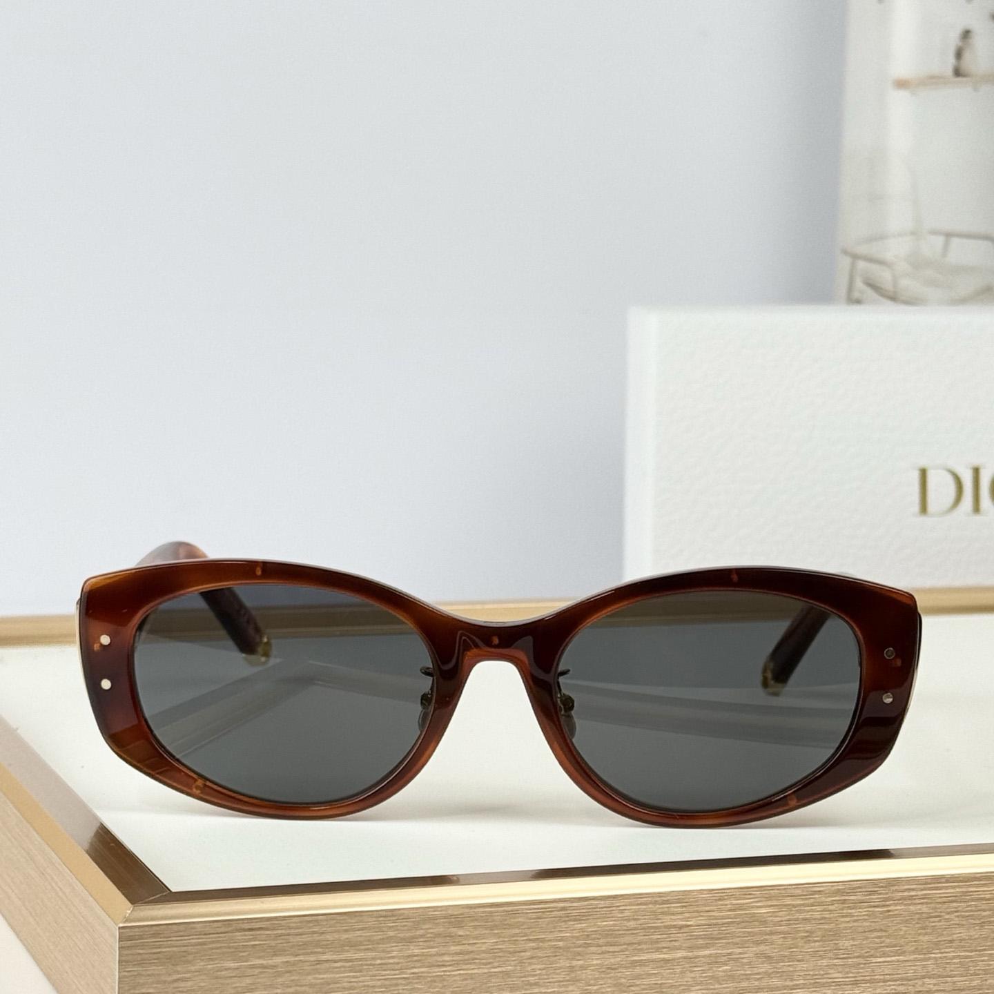 Dior B1U Sunglasses - DesignerGu