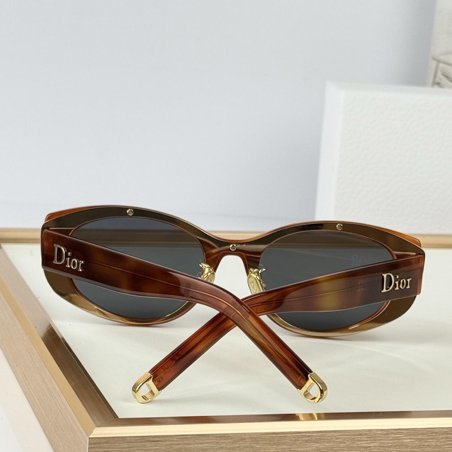 Dior B1U Sunglasses - DesignerGu