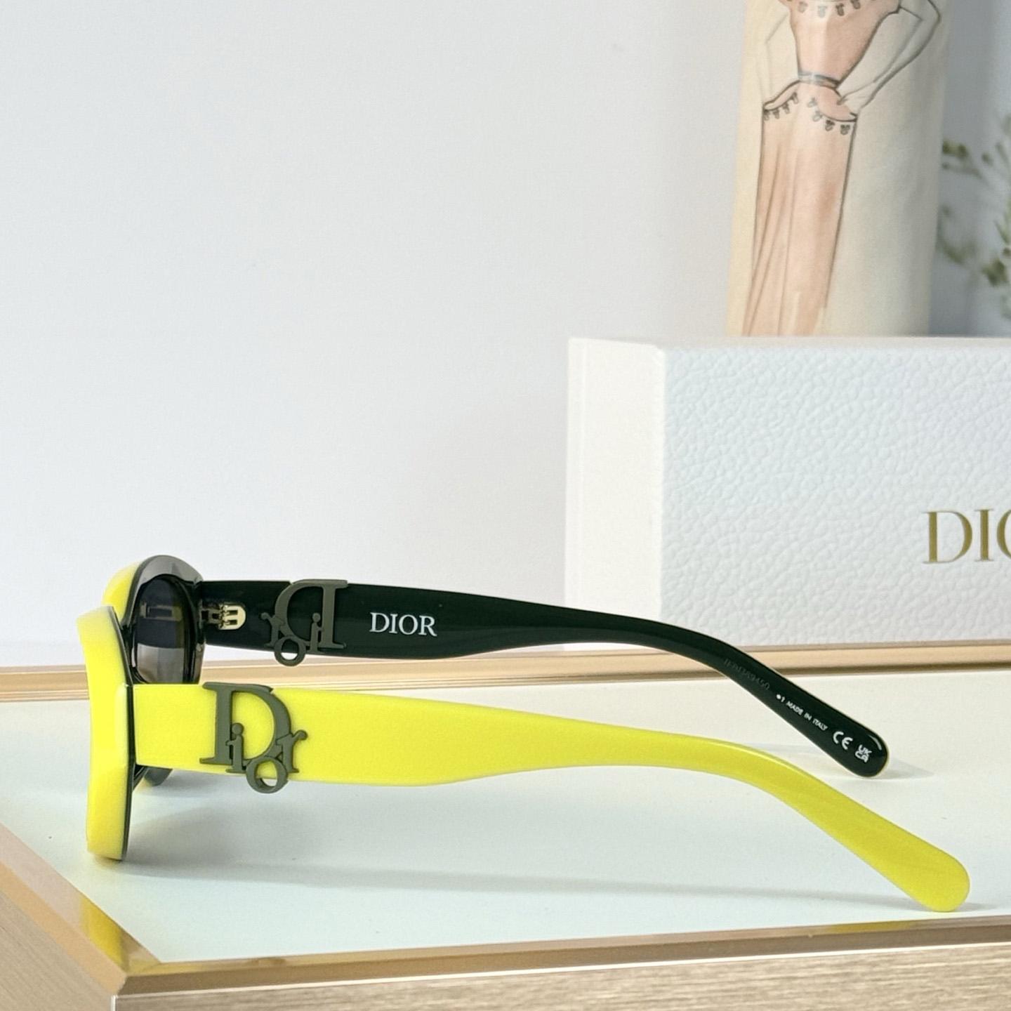 Dior Oblique R1I Sunglasses - DesignerGu