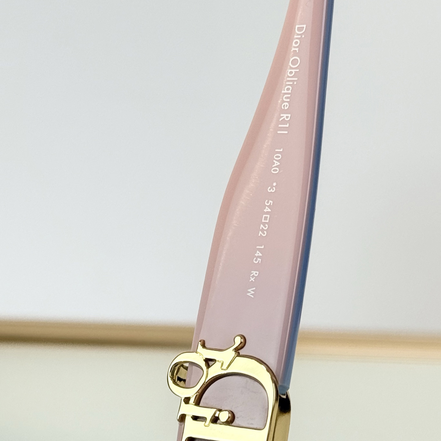 Dior Oblique R1I Sunglasses - DesignerGu