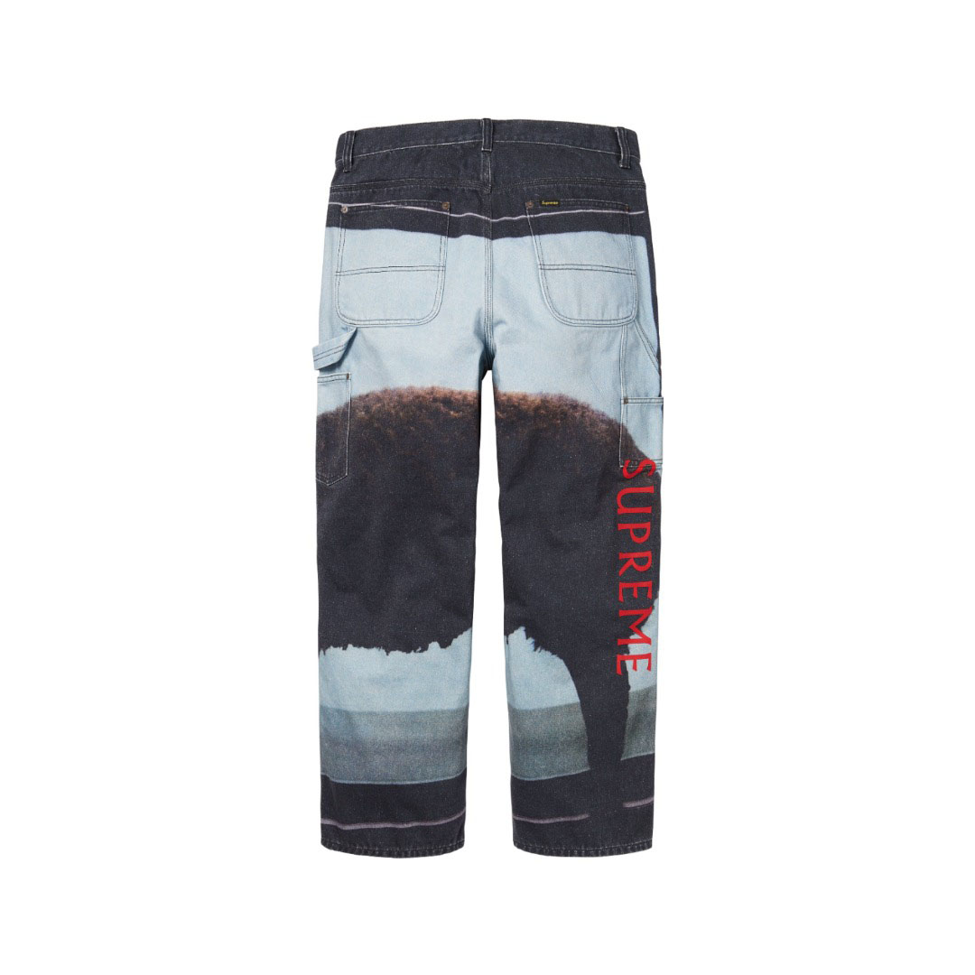 Supreme x Damien Hirst Painter Jean 'Black' - DesignerGu