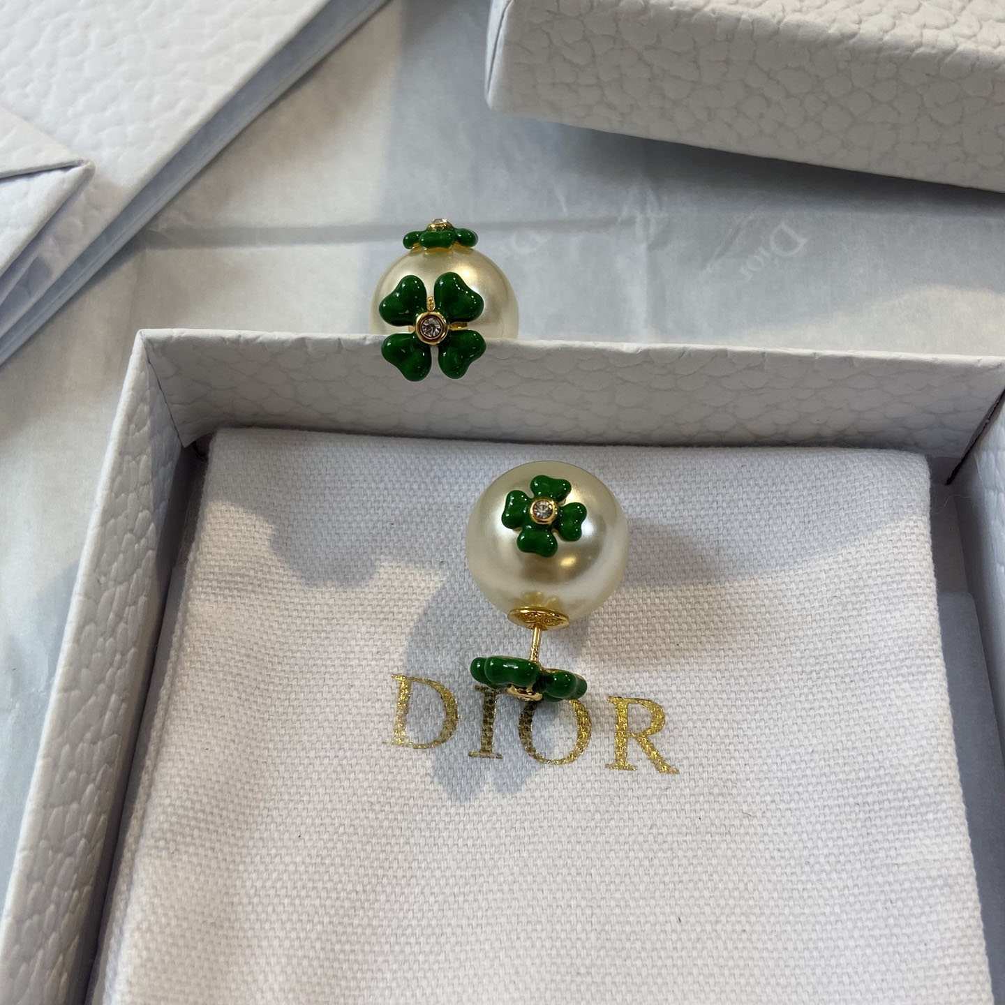 Dior Tribales Earrings - DesignerGu