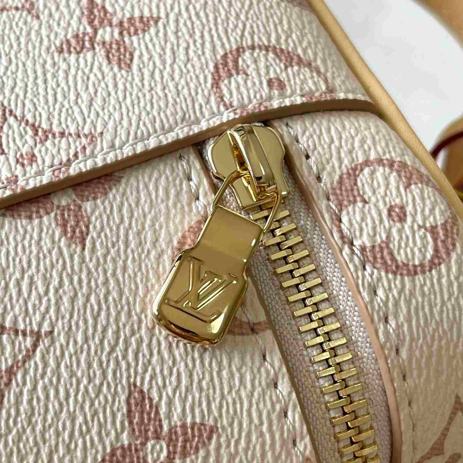 Louis Vuitton Vanity Chain Pouch M29782 - DesignerGu