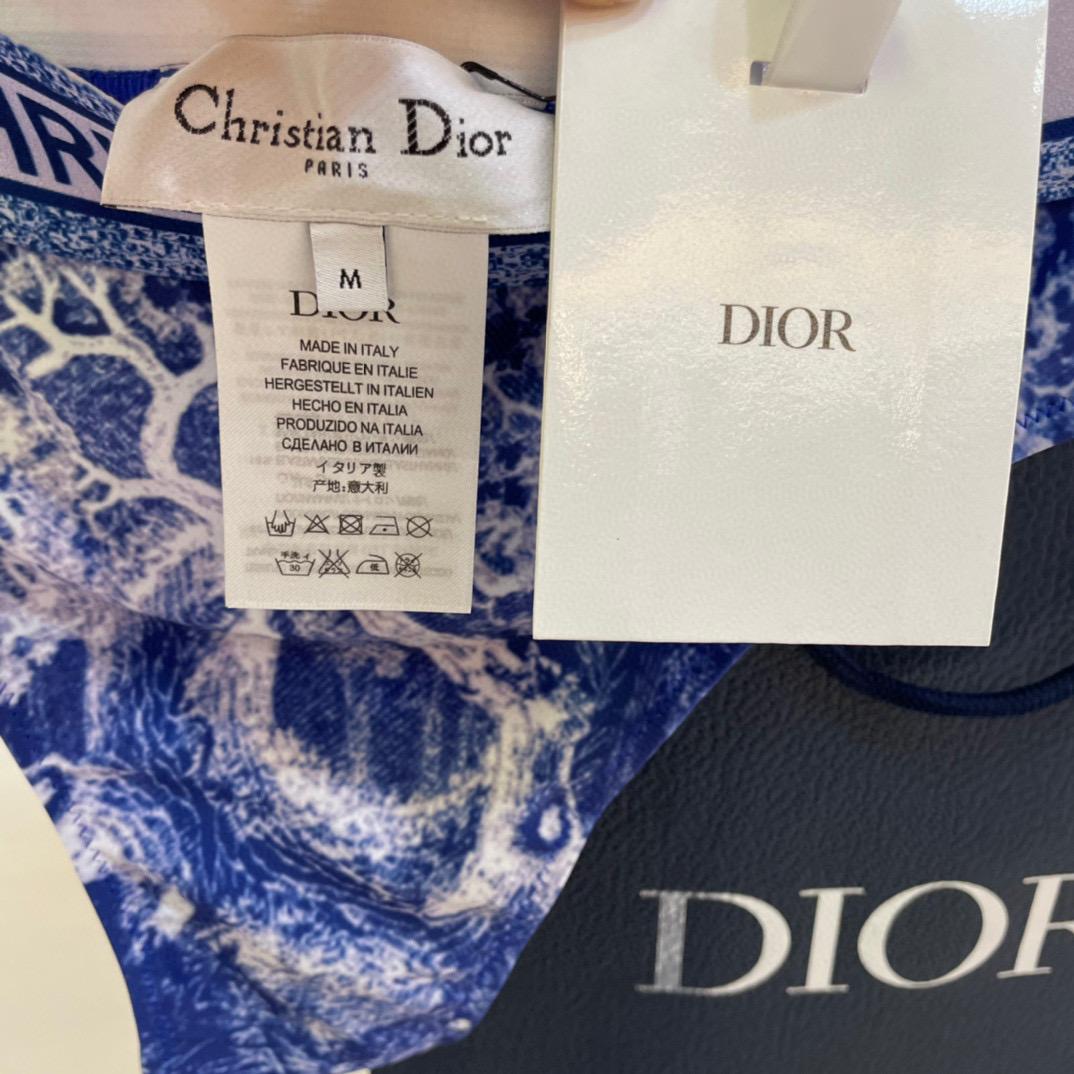 Dior Two Piece Swimsuit - DesignerGu