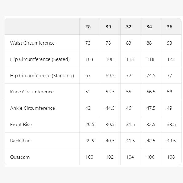 Carhartt Denim Pants - DesignerGu