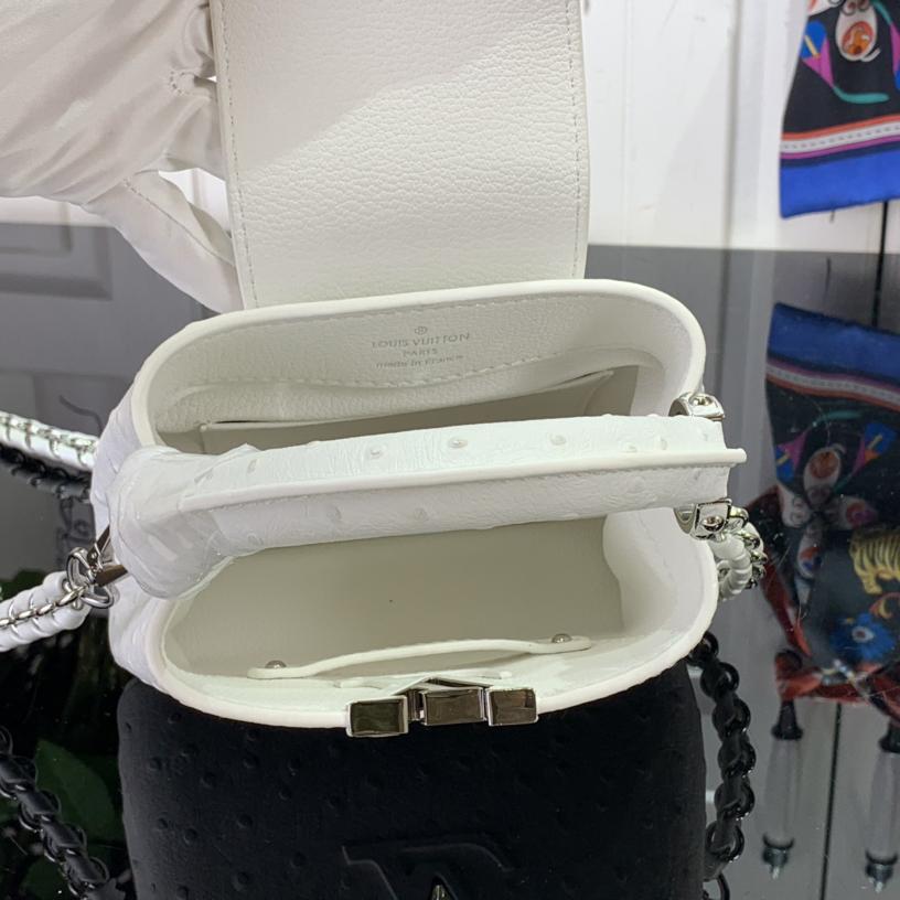 Louis Vuitton Capucines BB   M48865  16.3 x 11 x 6.5 cm - DesignerGu