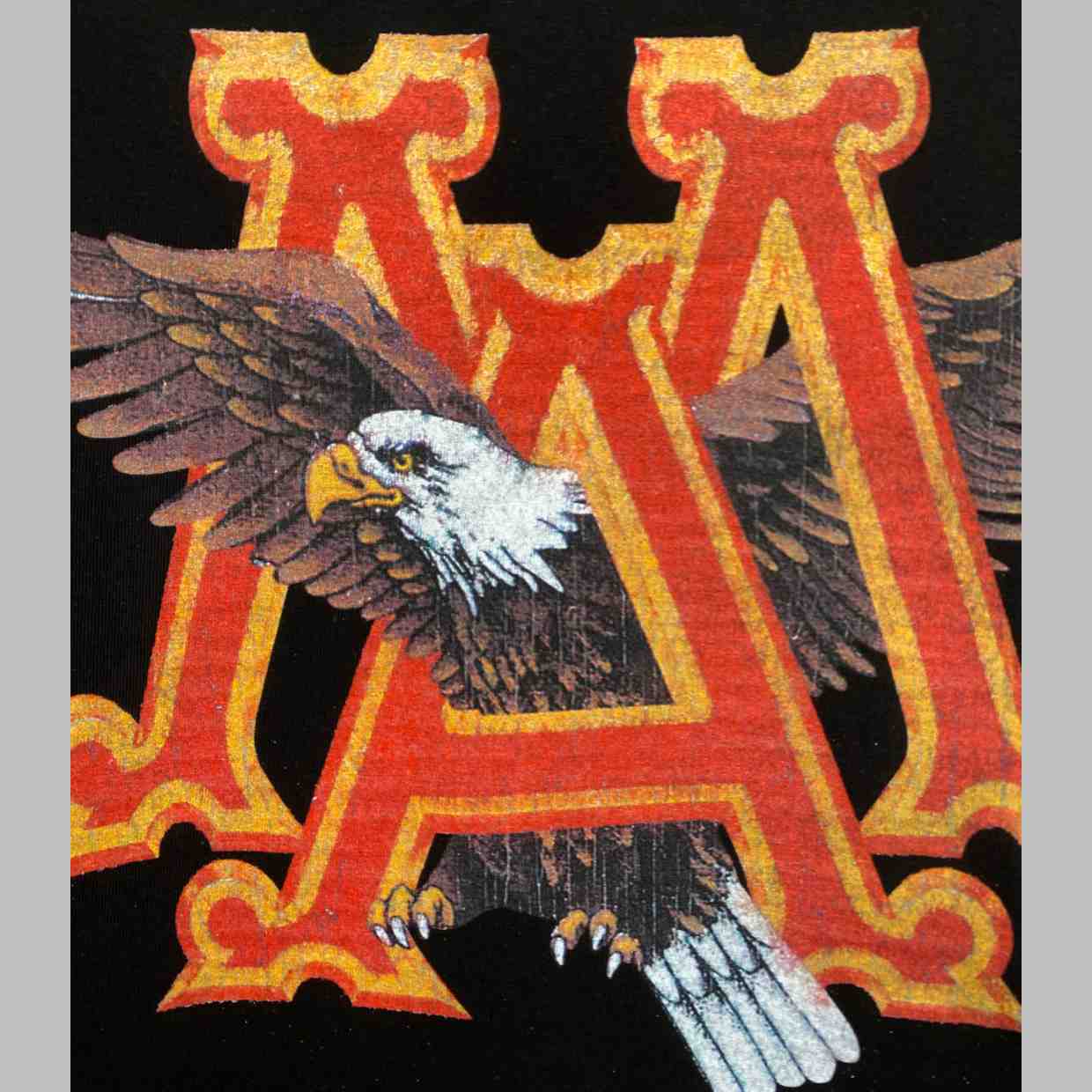 Amiri Vintage Ma Eagle Oversized Tee - DesignerGu