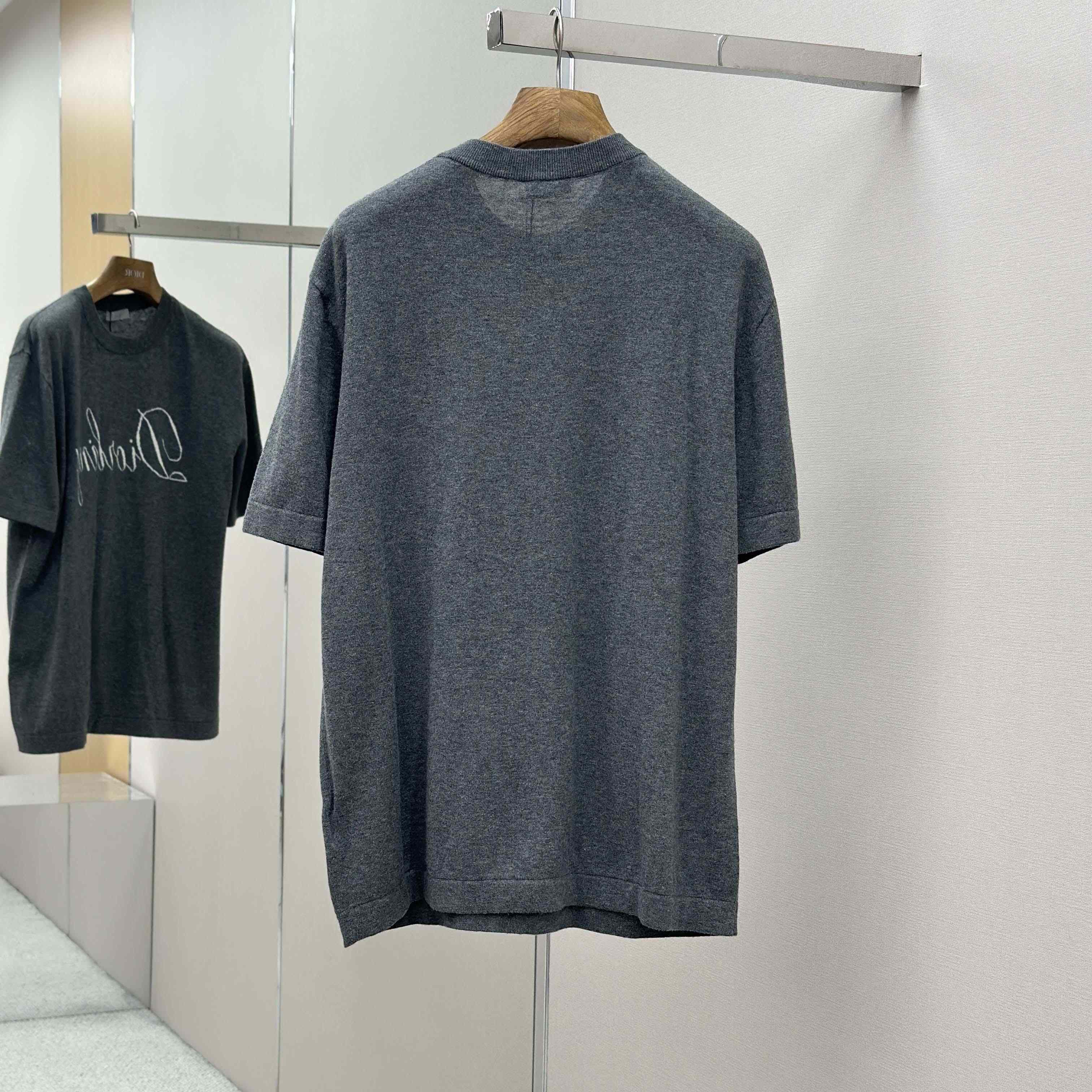 Dior Diorling T-Shirt  - DesignerGu