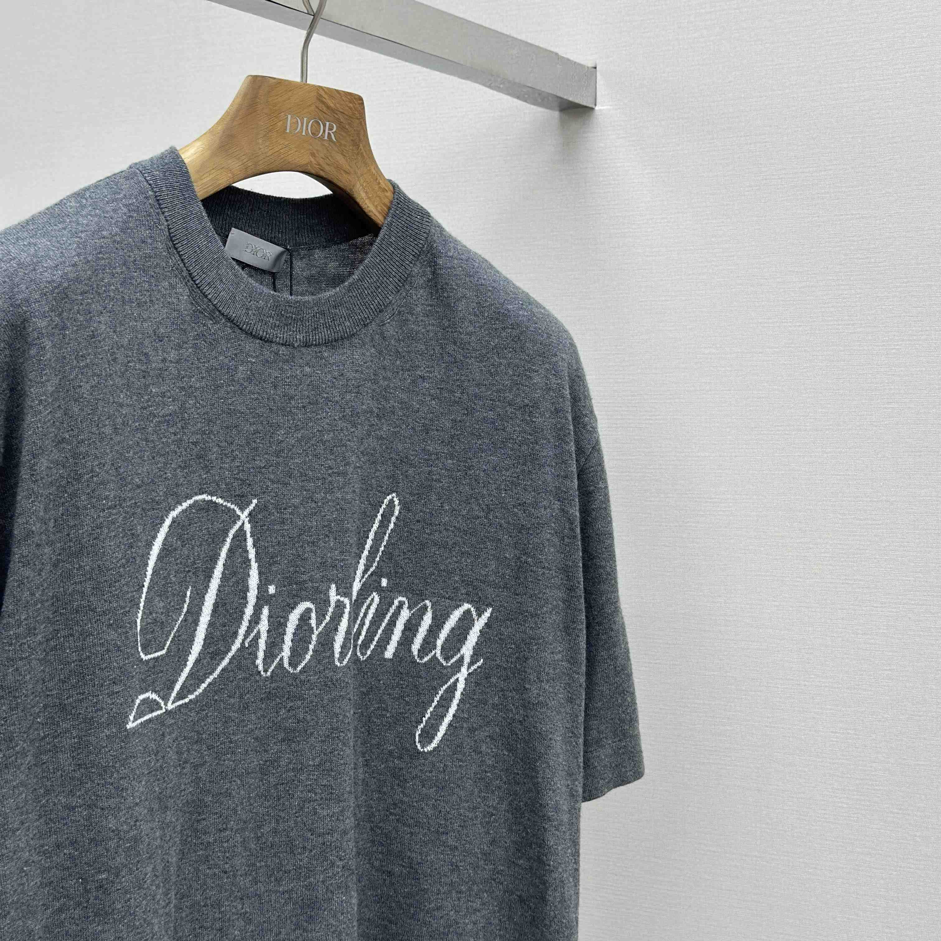 Dior Diorling T-Shirt  - DesignerGu