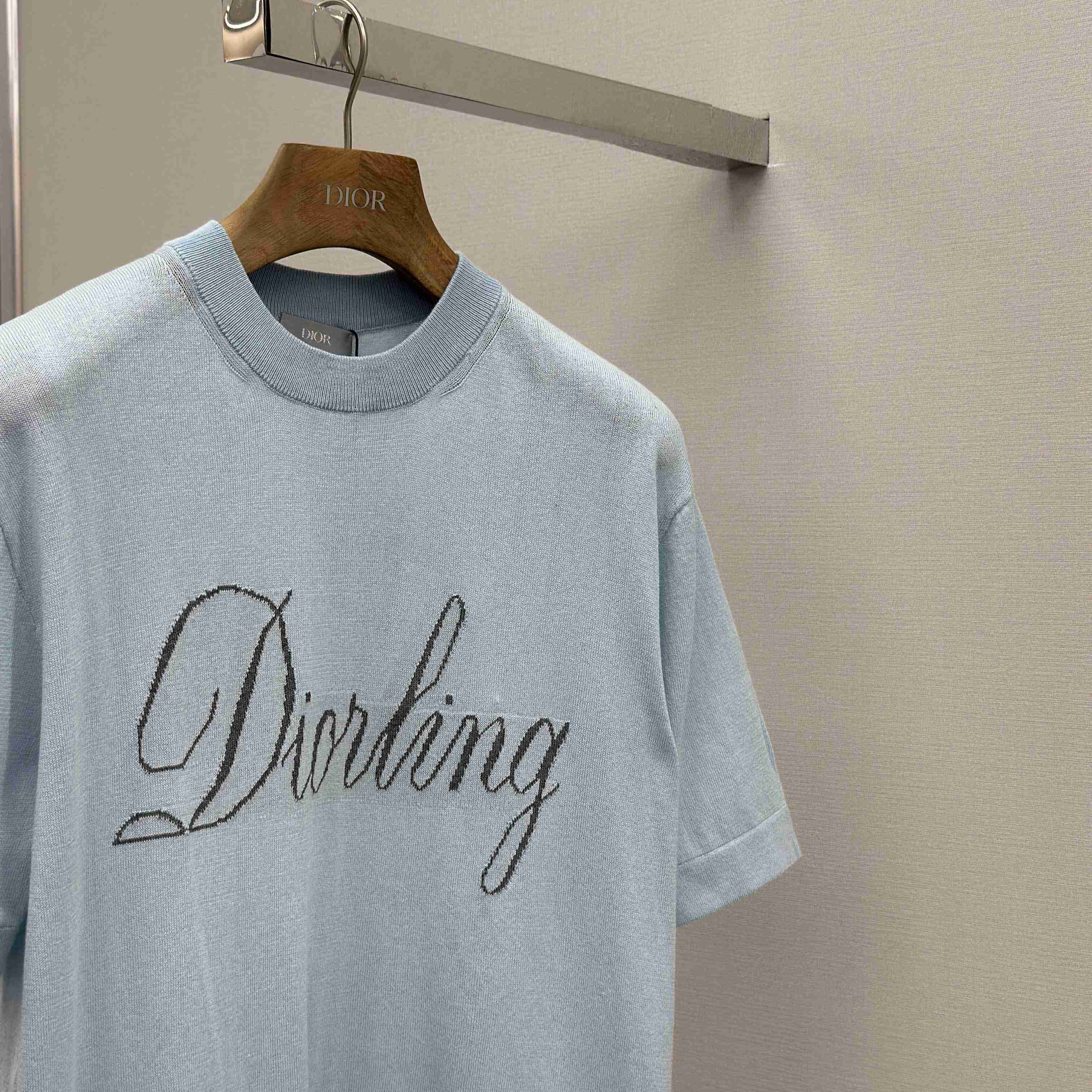 Dior Diorling T-Shirt   - DesignerGu