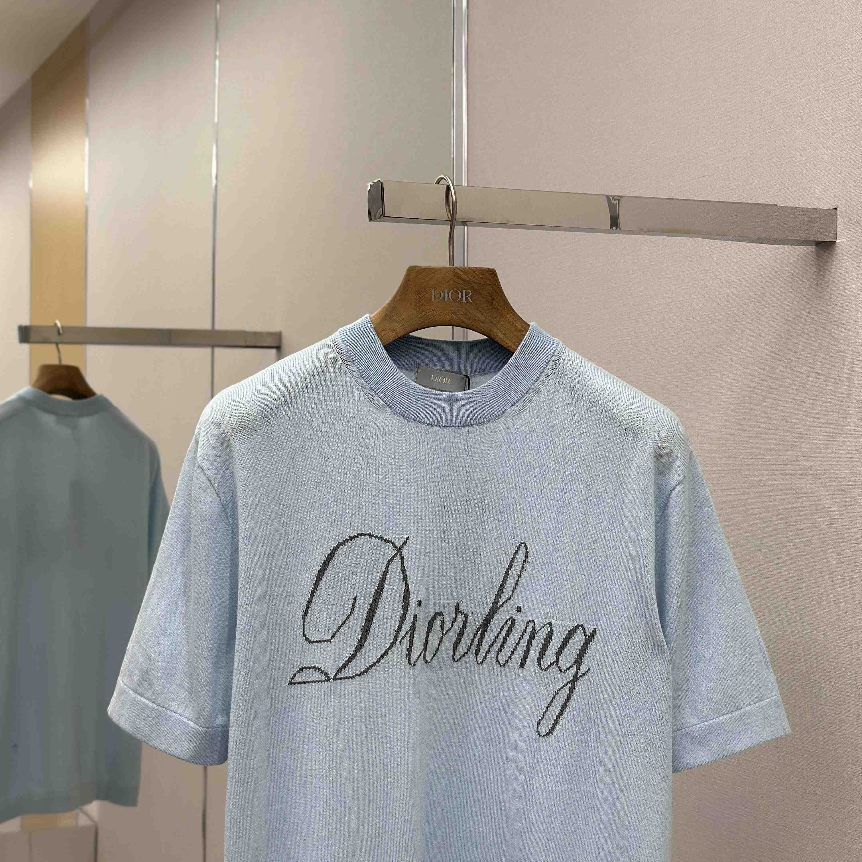 Dior Diorling T-Shirt   - DesignerGu