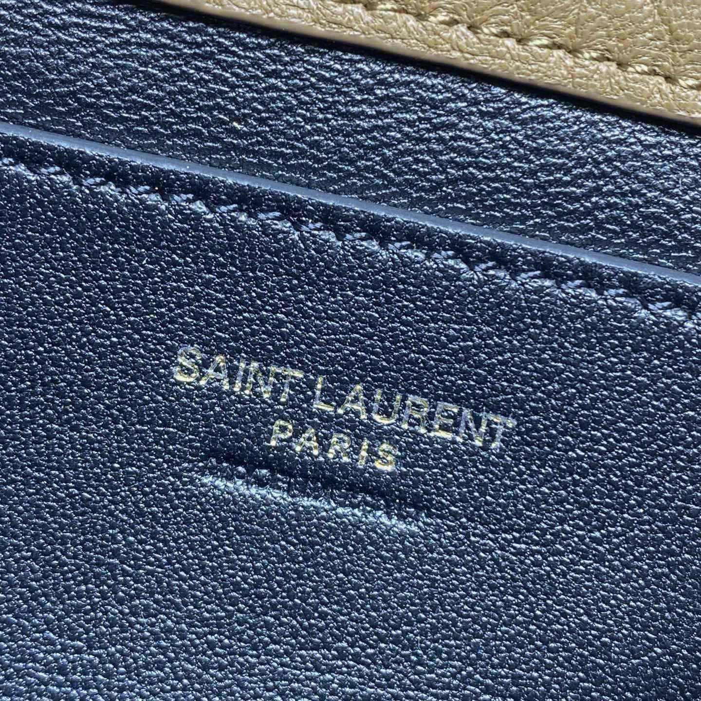 Saint Laurent Cassandre Chain Pouch In Lambskin - DesignerGu