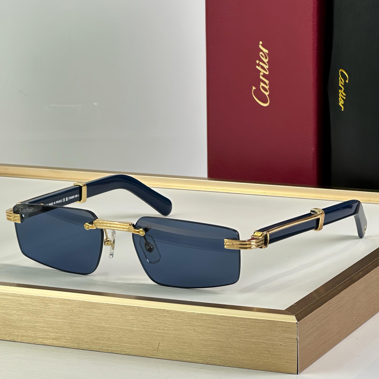 Cartier 0485O Sunglasses   ct0464s - DesignerGu