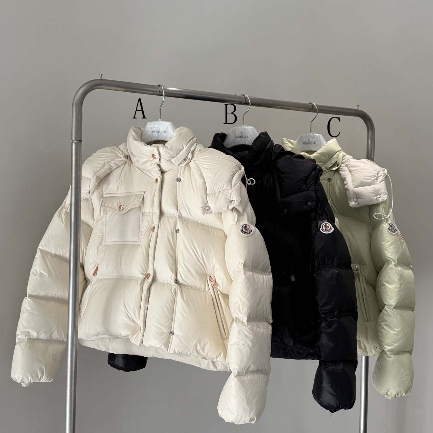 Moncler Erea Down Jacket - DesignerGu
