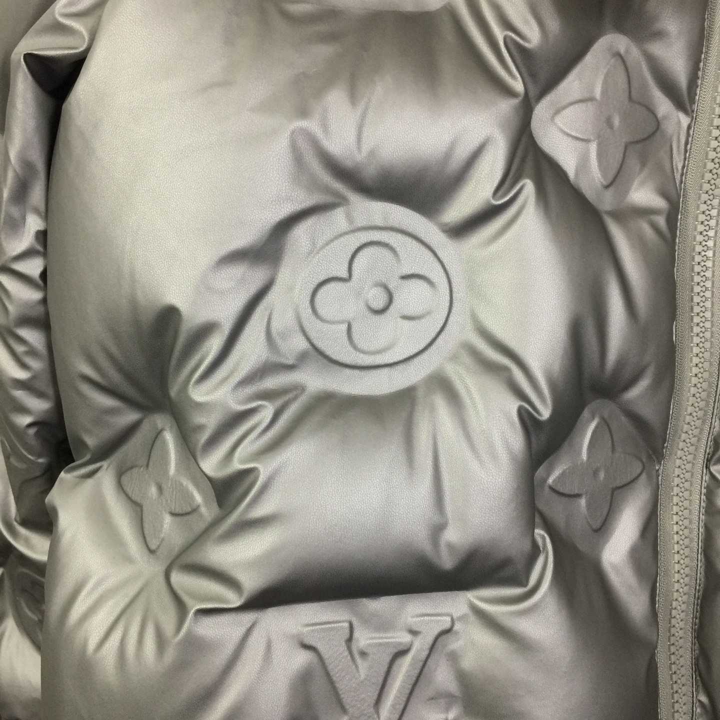 Louis Vuitton Monogram Down Blouson - DesignerGu