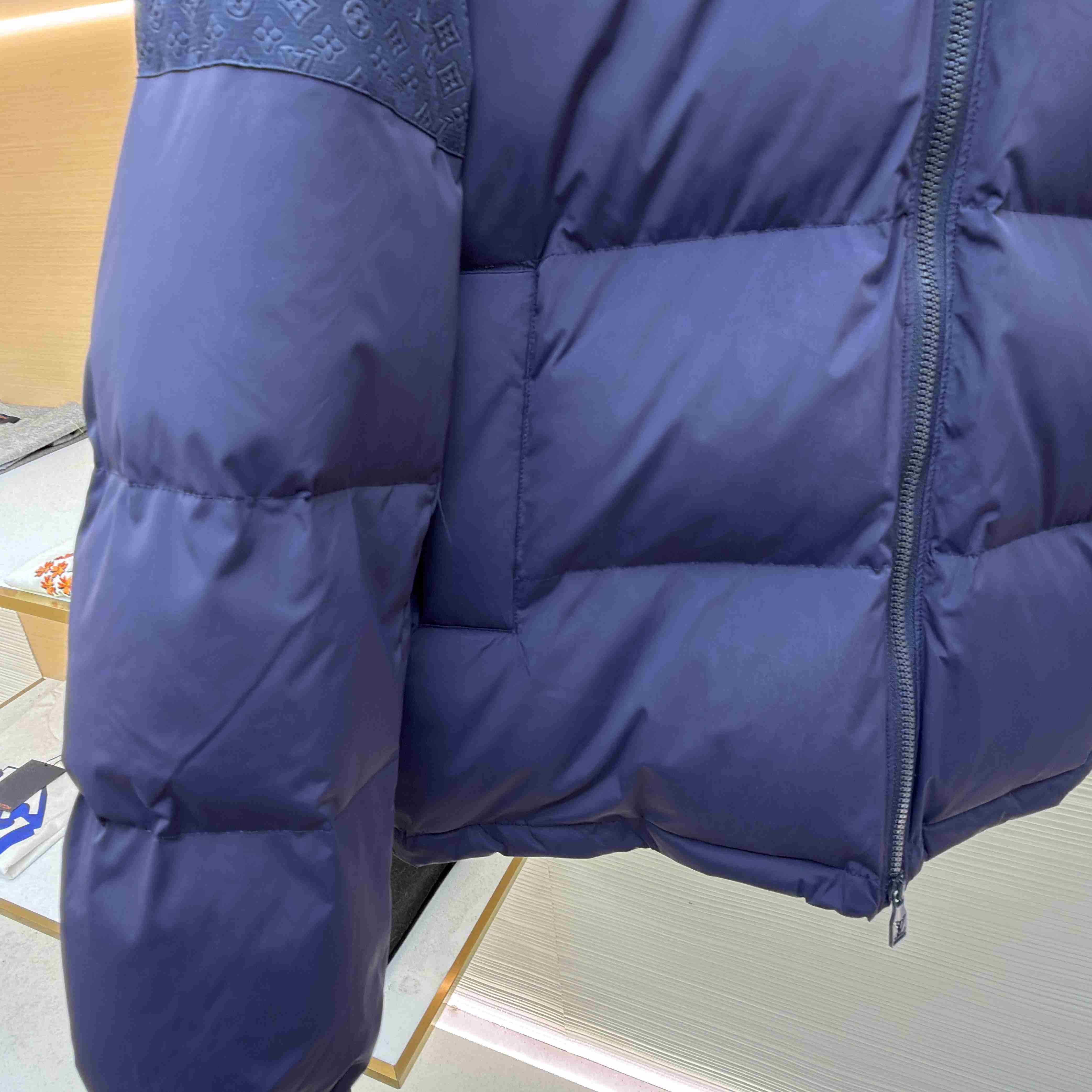 Louis Vuitton Down Blouson 1AGIJR - DesignerGu