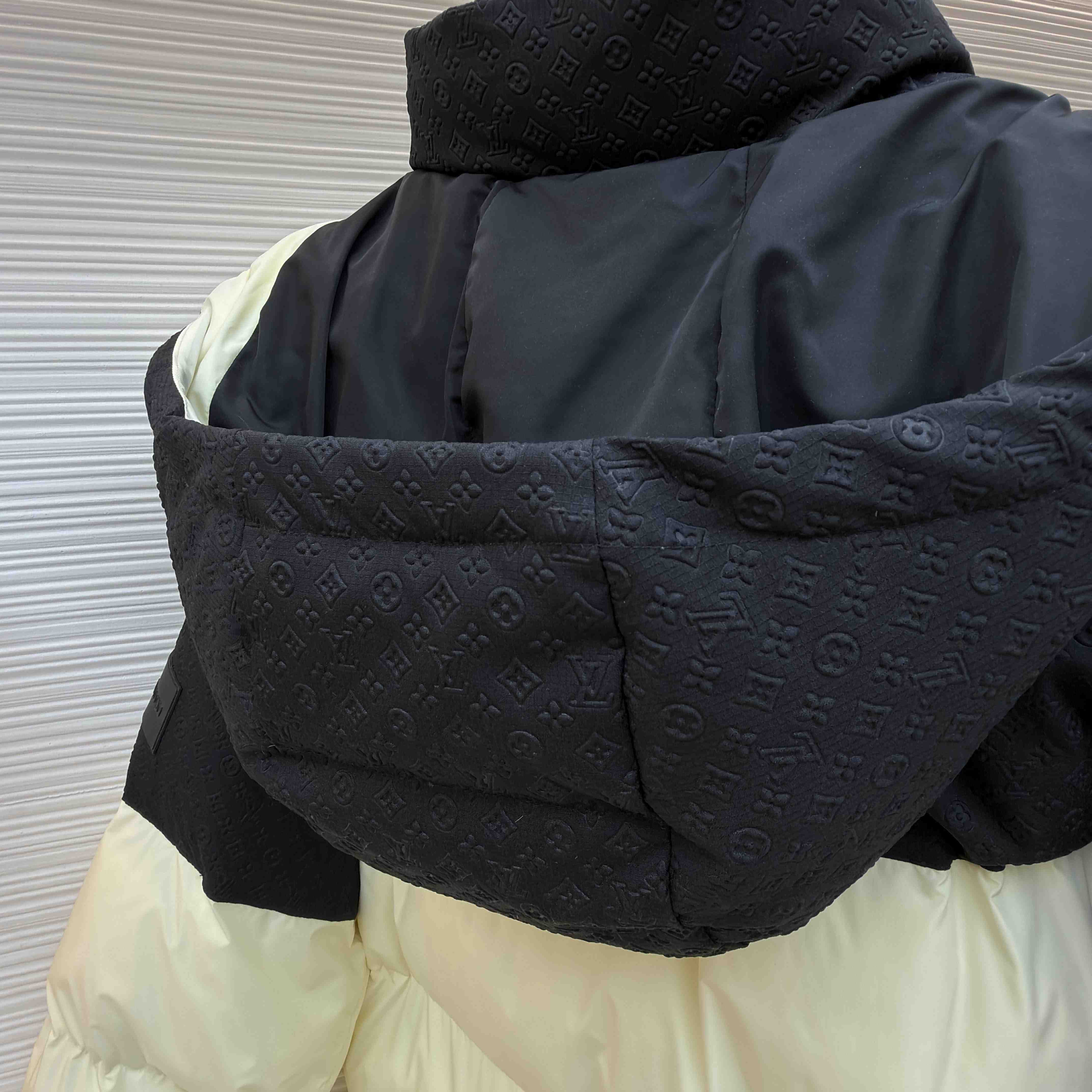 Louis Vuitton Placed Monogram Ecodown Blouson 1AJAZR - DesignerGu