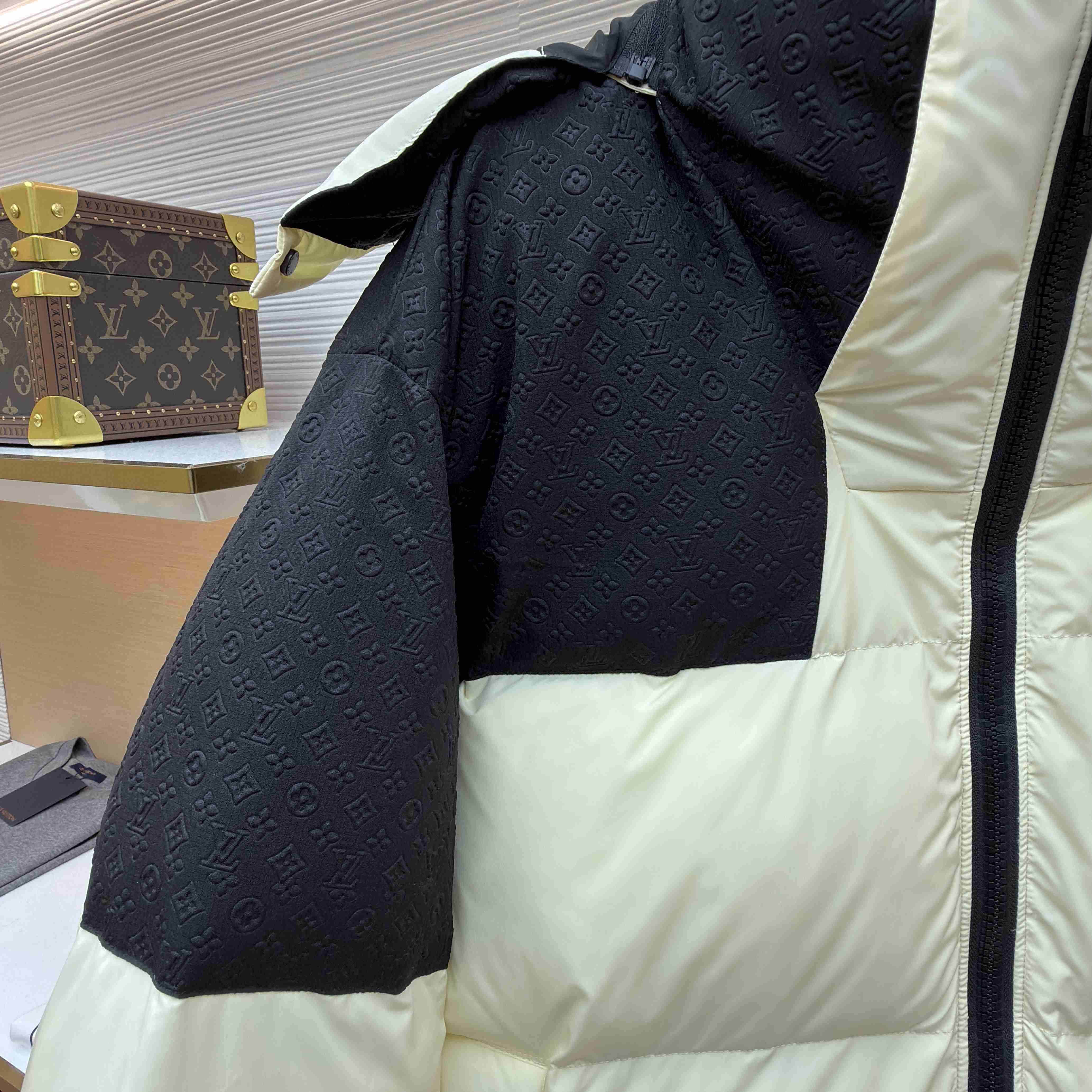 Louis Vuitton Placed Monogram Ecodown Blouson 1AJAZR - DesignerGu