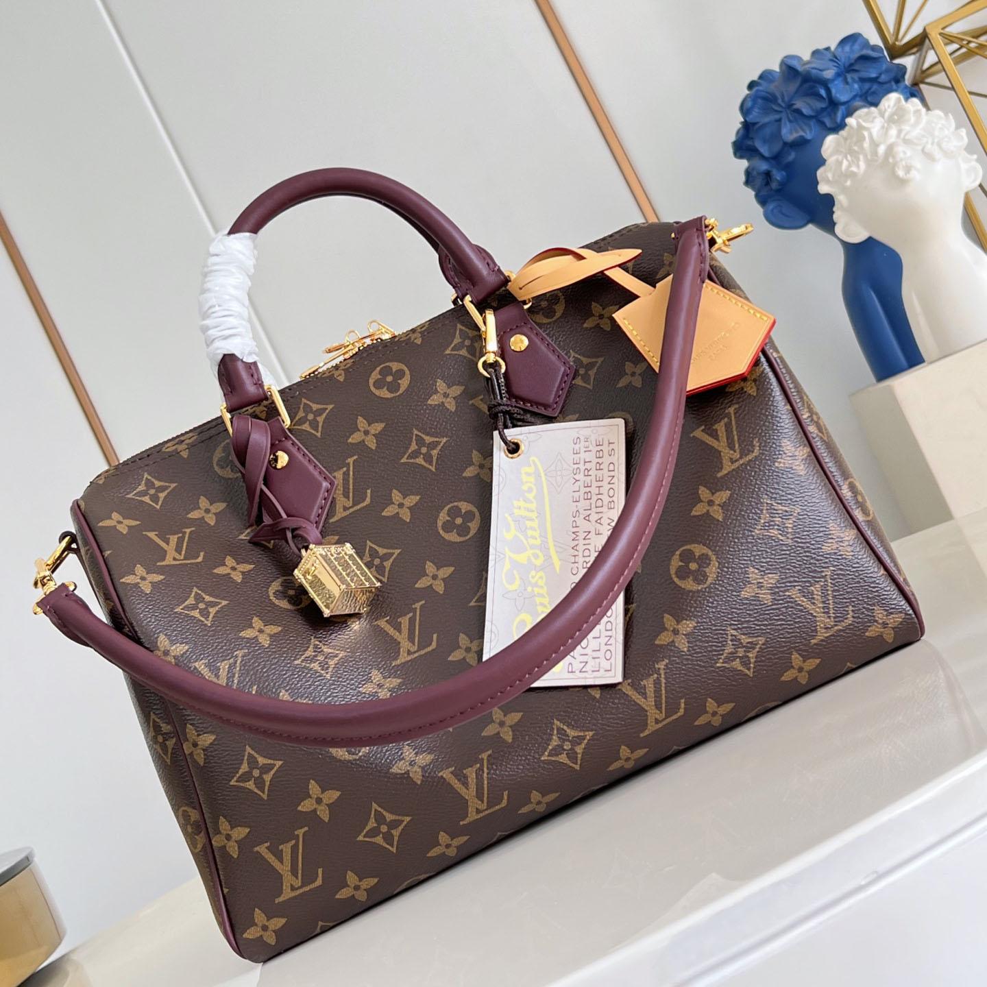Louis Vuitton Speedy 30 Soft Celebration M28379 - DesignerGu