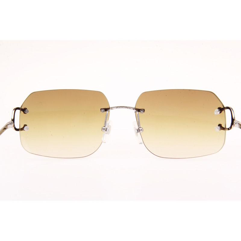 Cartier CT 4193833 Sunglasses In Silver Gradient Brown - DesignerGu