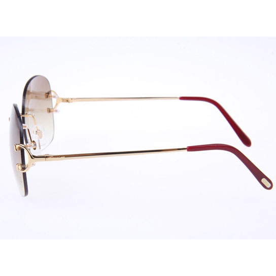 Cartier CT 4193829 Sunglasses In Gold Gradient Brown - DesignerGu