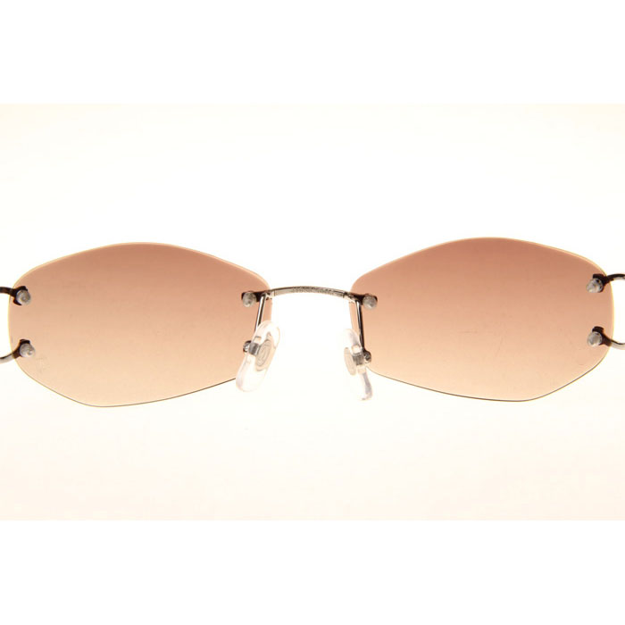 Cartier CT 4193831 Sunglasses In Silver Gradient Brown - DesignerGu