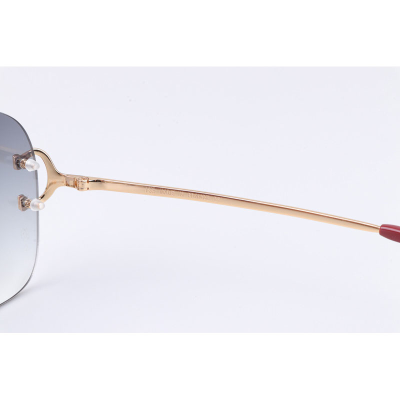 Cartier CT 4193829 Sunglasses Gold Gradient Gray - DesignerGu