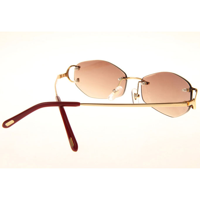 Cartier CT 4193831 Sunglasses In Gold Gradient Brown - DesignerGu