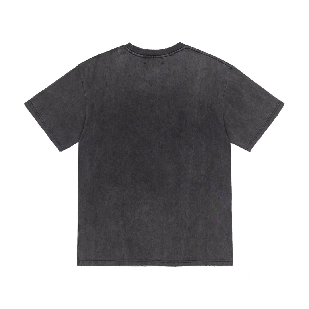 Amiri High Lion Skater Tee 'Black' - DesignerGu