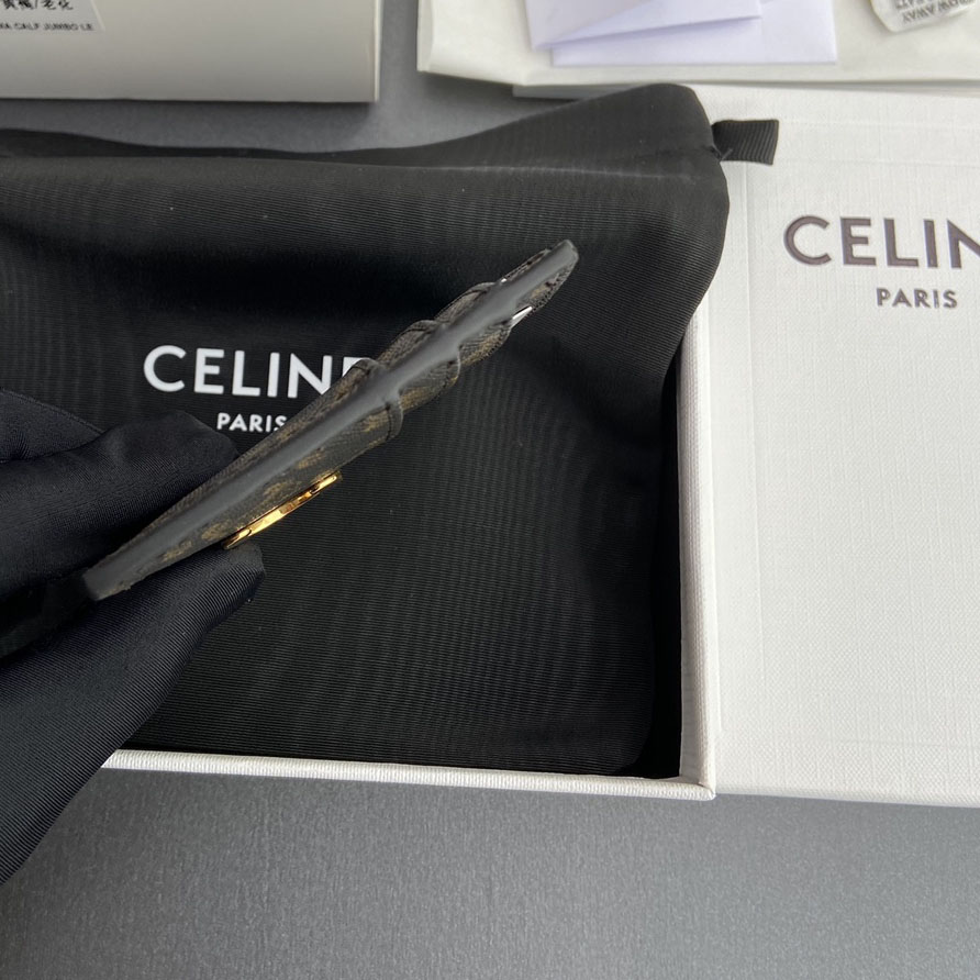 Celine Card Holder Triomphe In Triomphe Canvas - DesignerGu