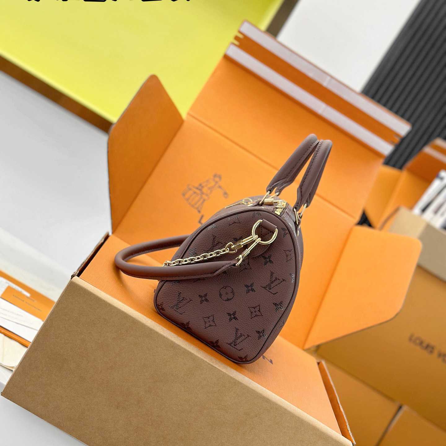 Louis Vuitton Speedy Bandoulière 25 M26691 - DesignerGu