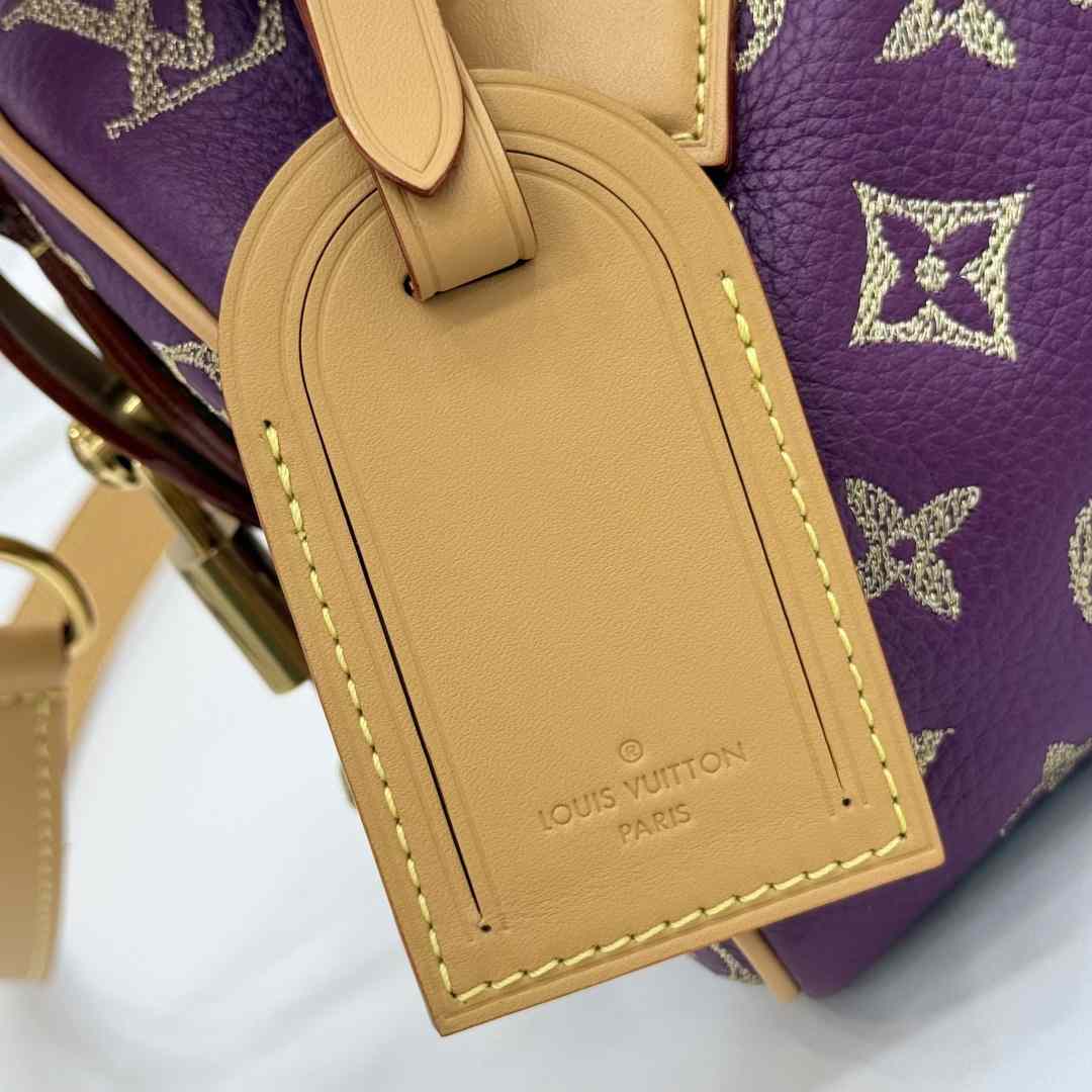 Louis Vuitton Speedy P9 Bandoulière 20 M28088 - DesignerGu
