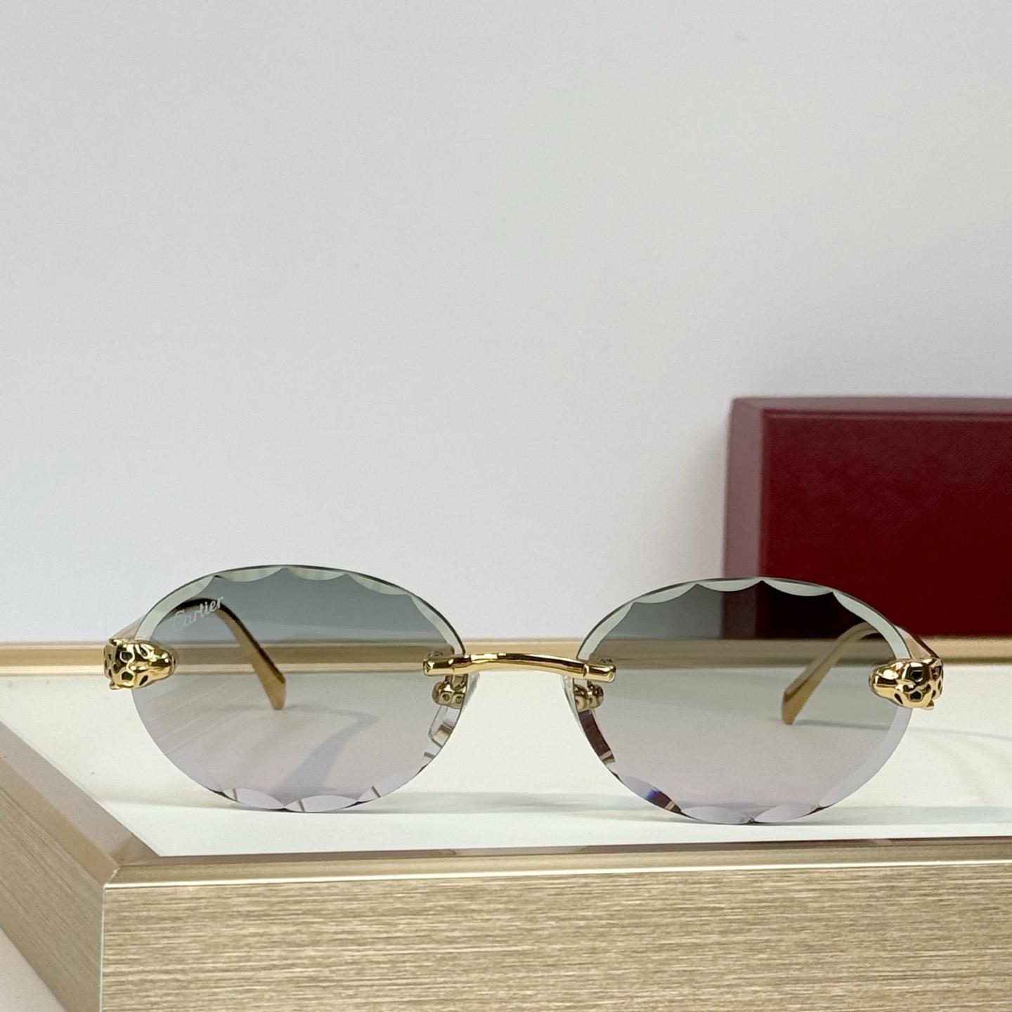 Cartier CT7448S Sunglasses    - DesignerGu