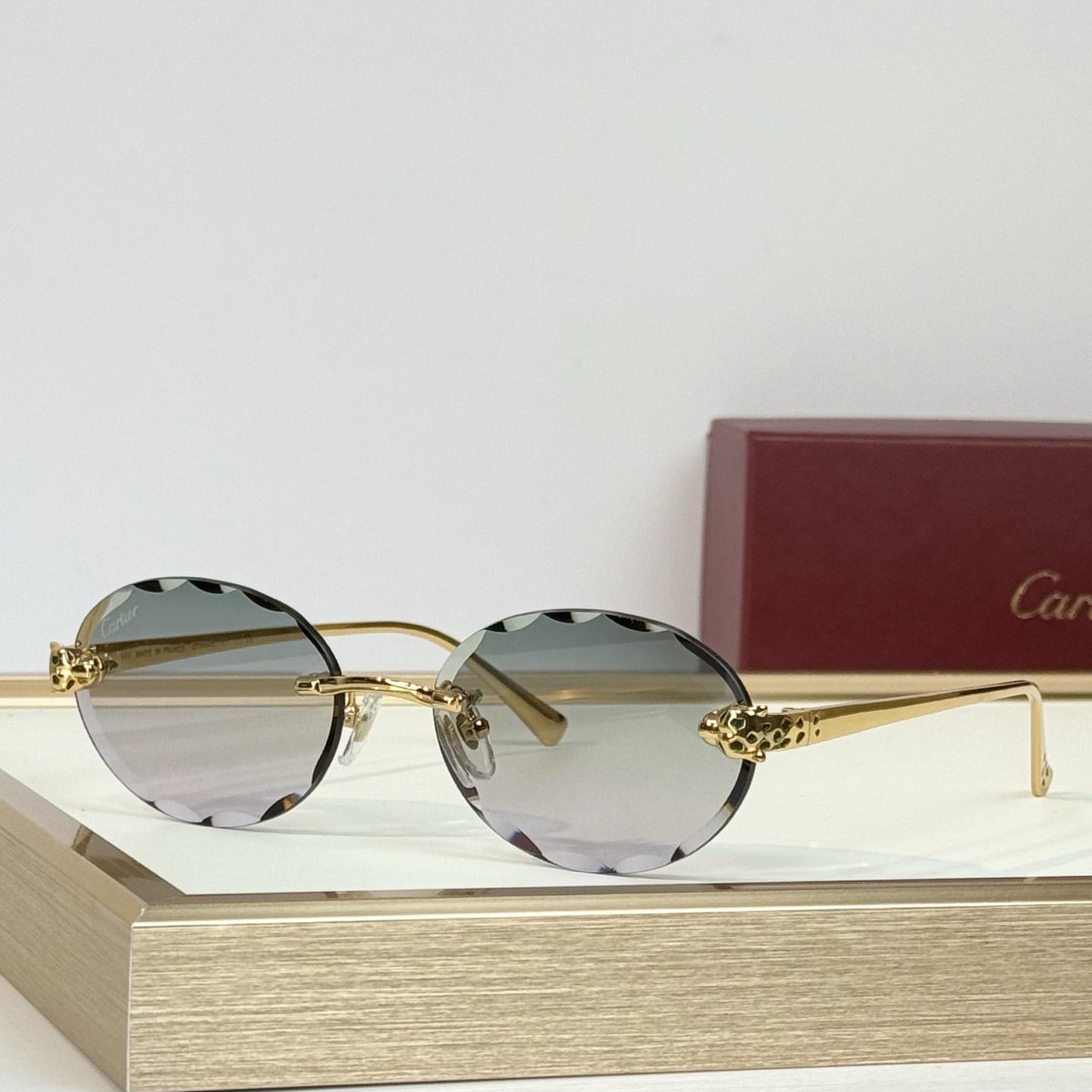 Cartier CT7448S Sunglasses    - DesignerGu