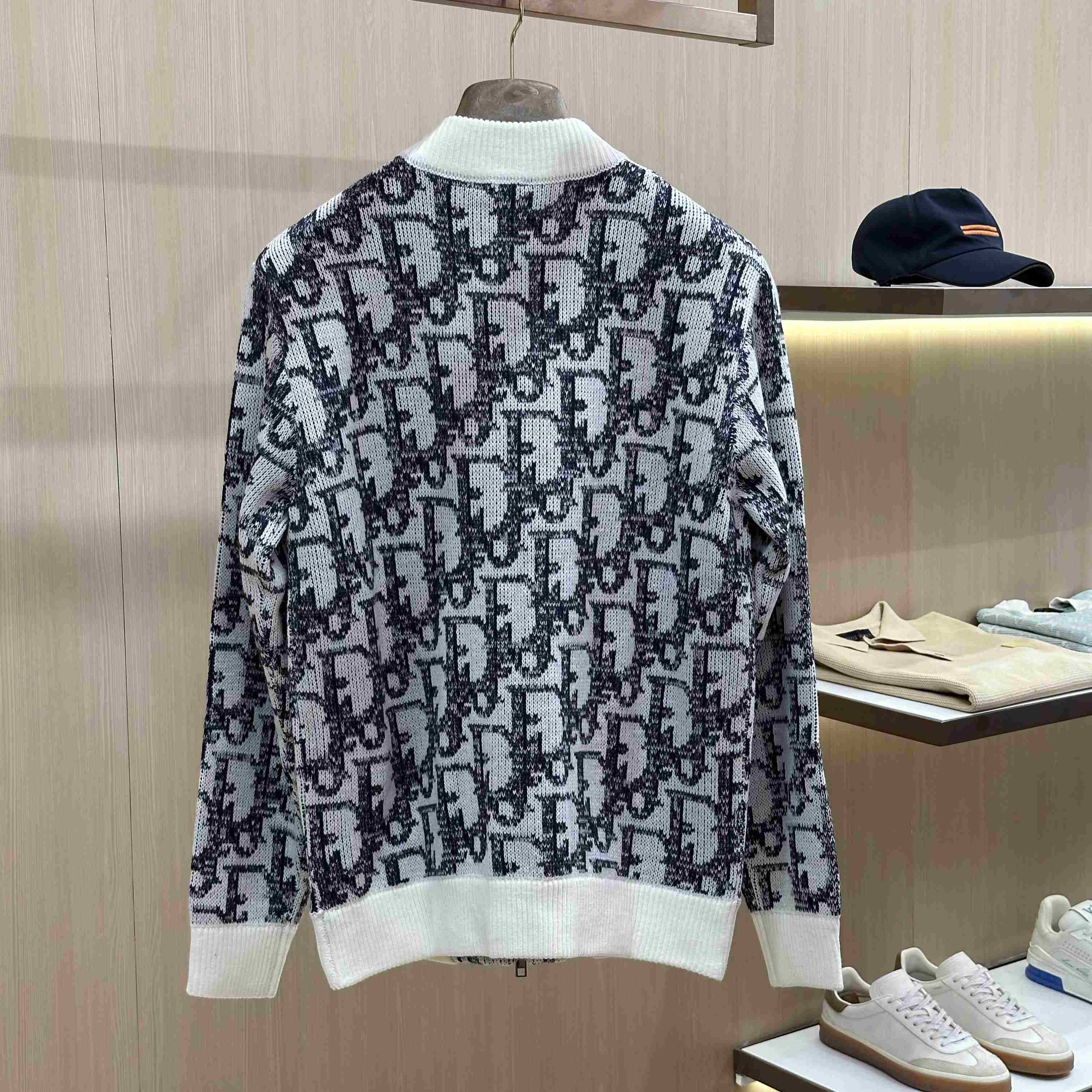 Dior Oblique Bomber Jacket - DesignerGu