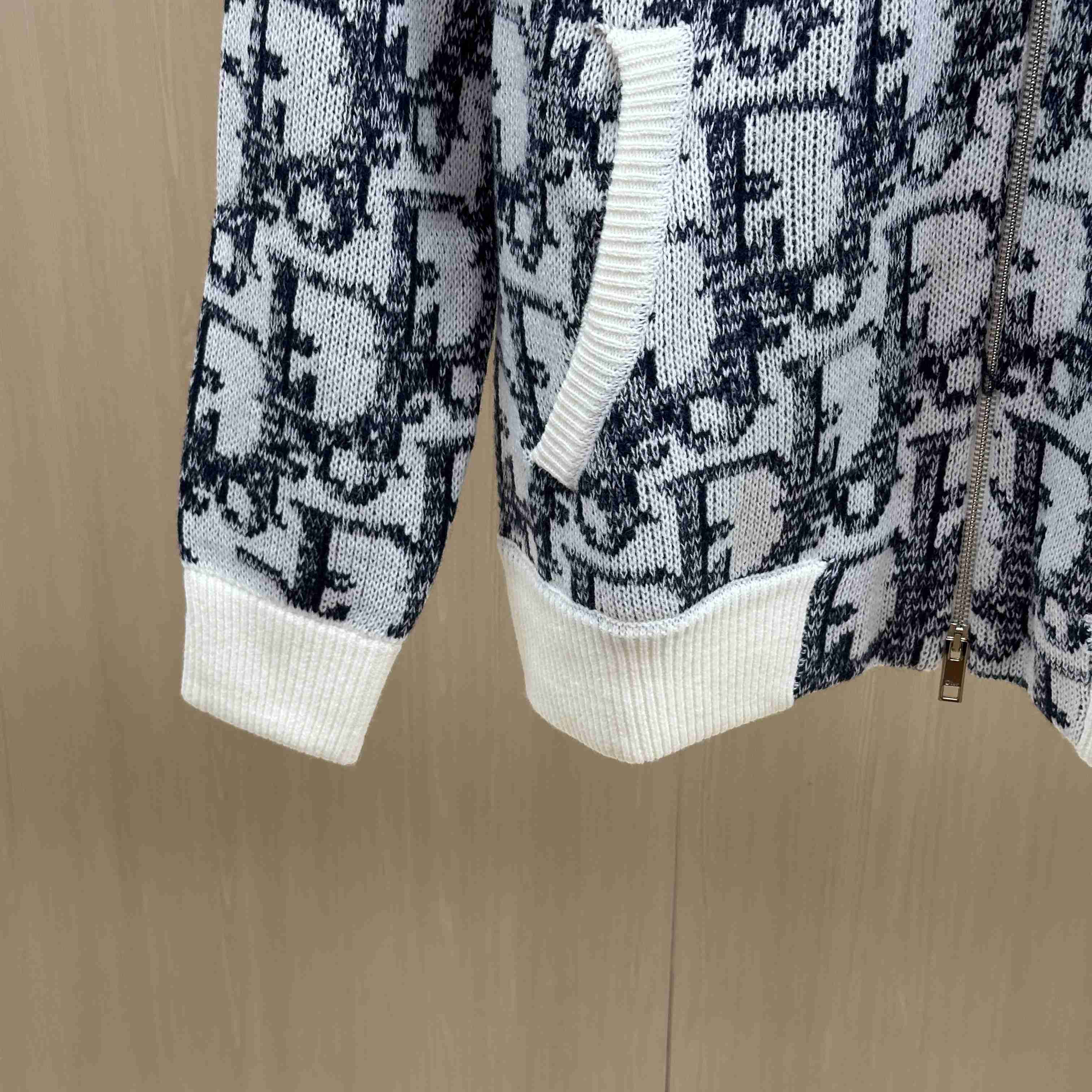 Dior Oblique Bomber Jacket - DesignerGu